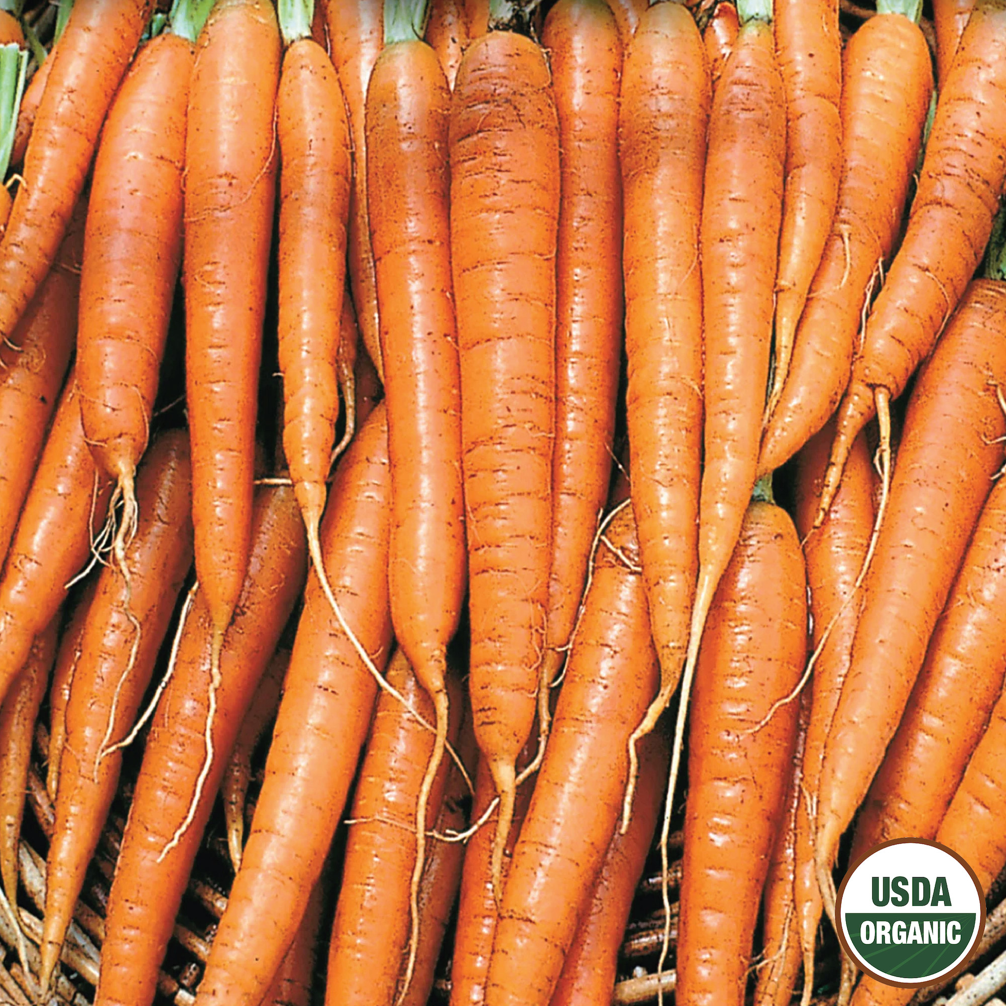Ferry-Morse LC25.9631 Vegetable-Herb-Seeds - View #3
