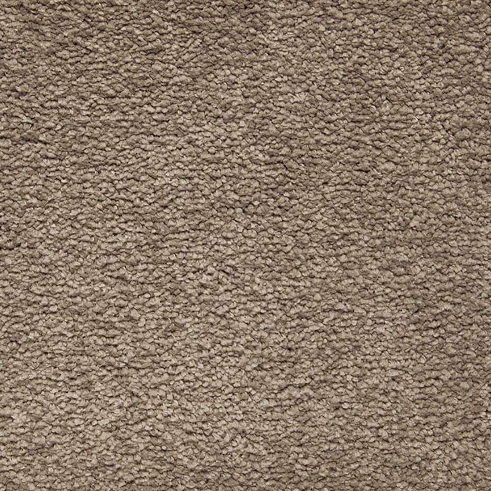 STAINMASTER PetProtect STP54-L014-0808 (Sample) Beau Dacious Feather Brown 48-oz sq yard Triexta Textured Indoor Carpet