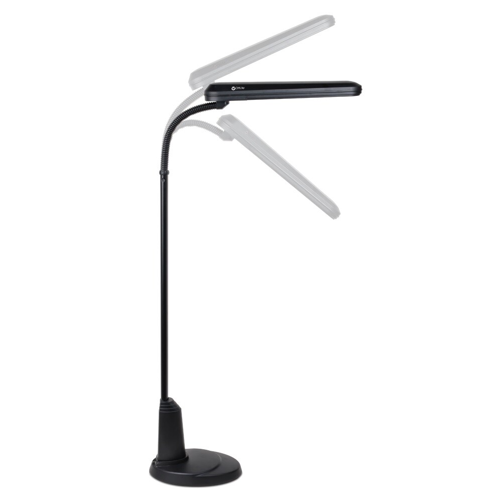 24w Floor Lamp