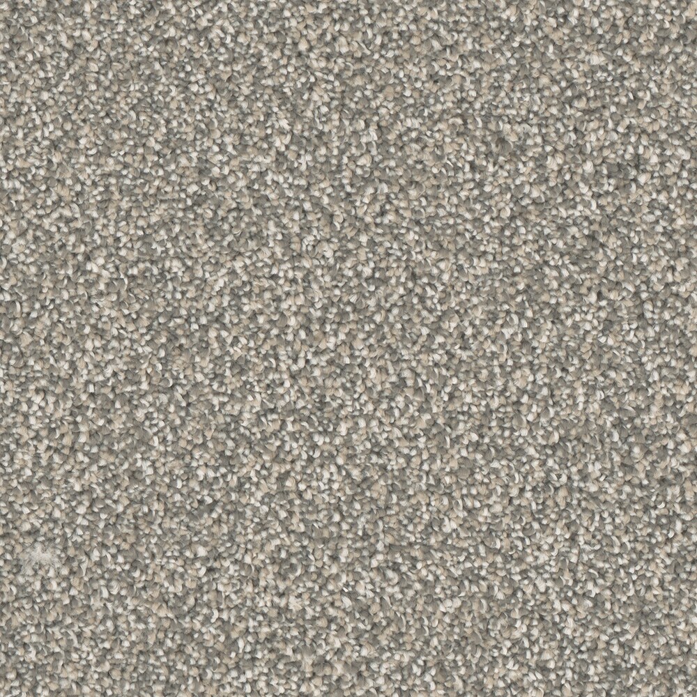 STAINMASTER S9165-954-1200-MO Imagine Meditate Multi-Colored 65-oz sq yard Polyester Textured Indoor Carpet