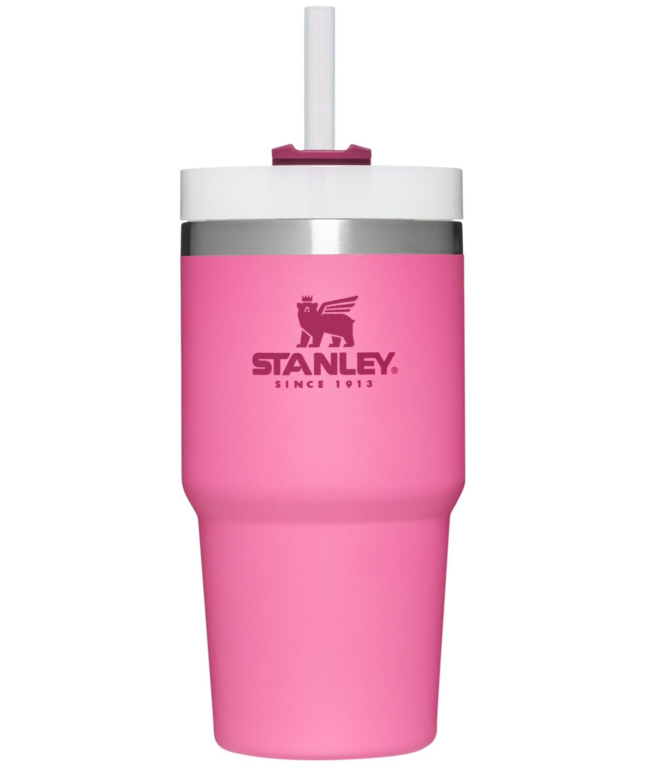 Stanley Quencher 20-fl oz Stainless Steel Insulated Water Bottle in the Water  Bottles & Mugs department at