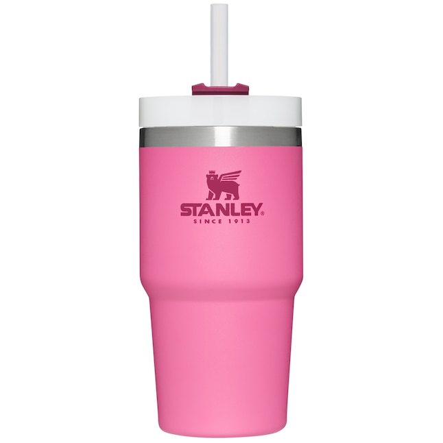 Stanley Quencher 20-fl oz Stainless Steel Insulated Water Bottle in the Water  Bottles & Mugs department at