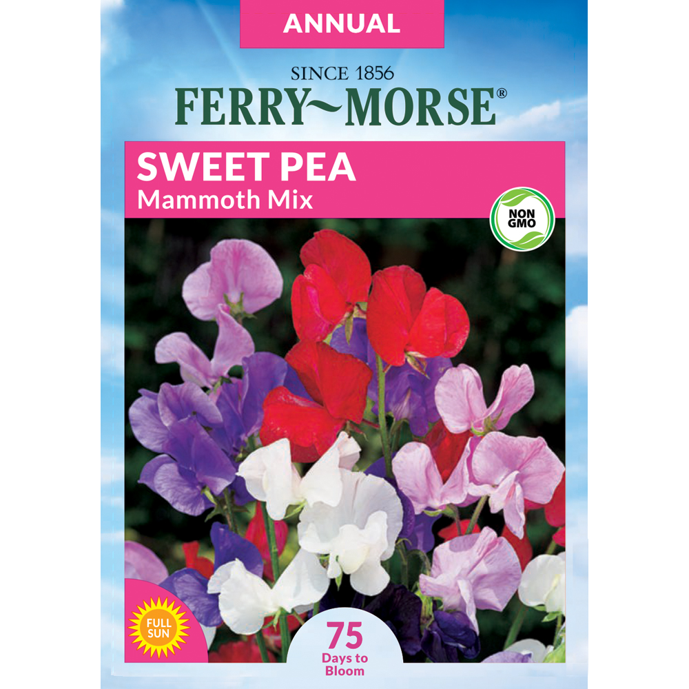 Ferry-Morse Sweet Pea Mammoth Mix Flower Seeds (Seed Packet) 2.25-Gram ...