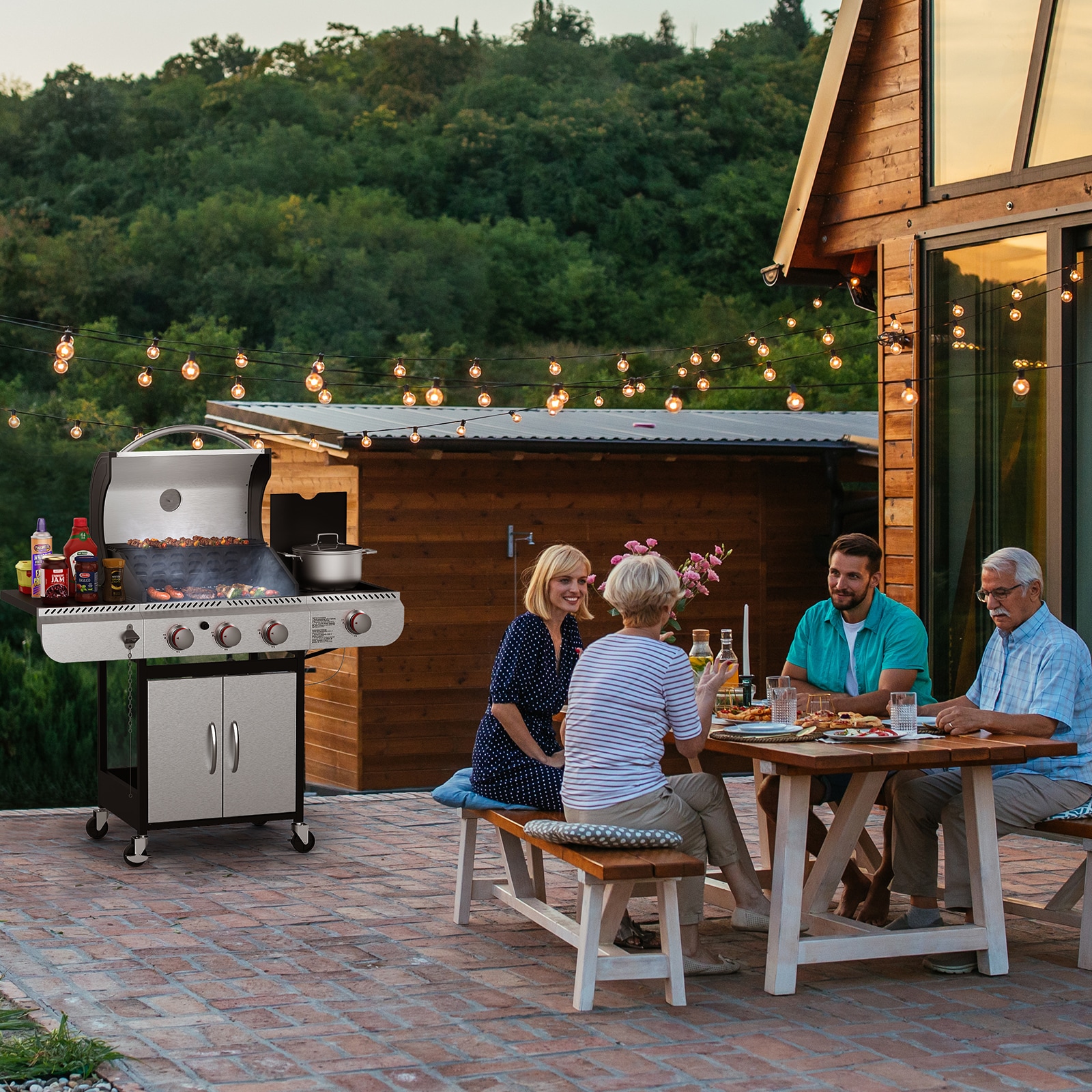 COWSAR LSG01GG41B Gas-Grill - View #15