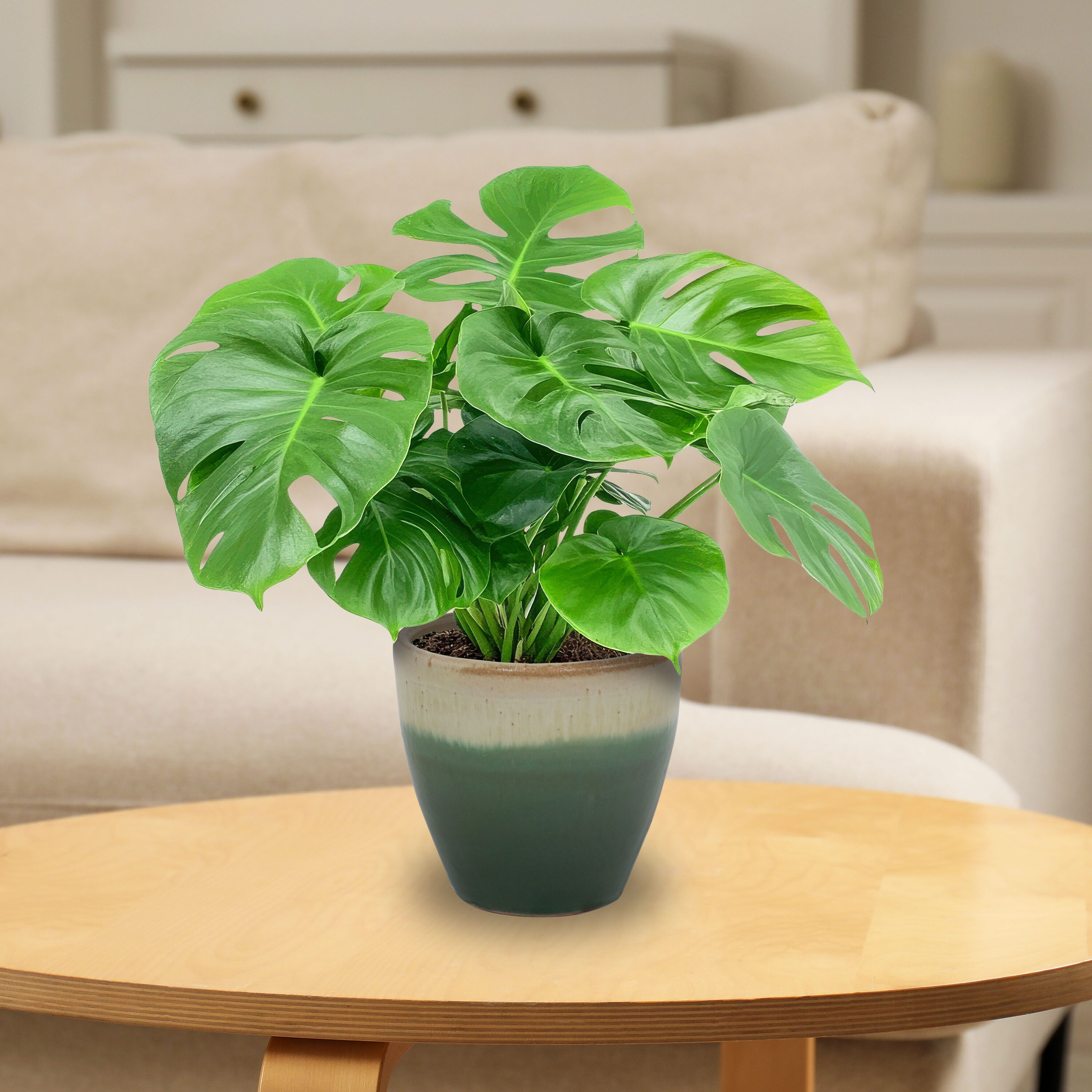 Sunnydaze Decor AP-183 Planter-Window-Box - View #14