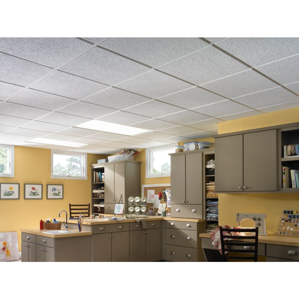  2' x 2' Mirror Ceiling Tiles - Box of 10 : Home & Kitchen