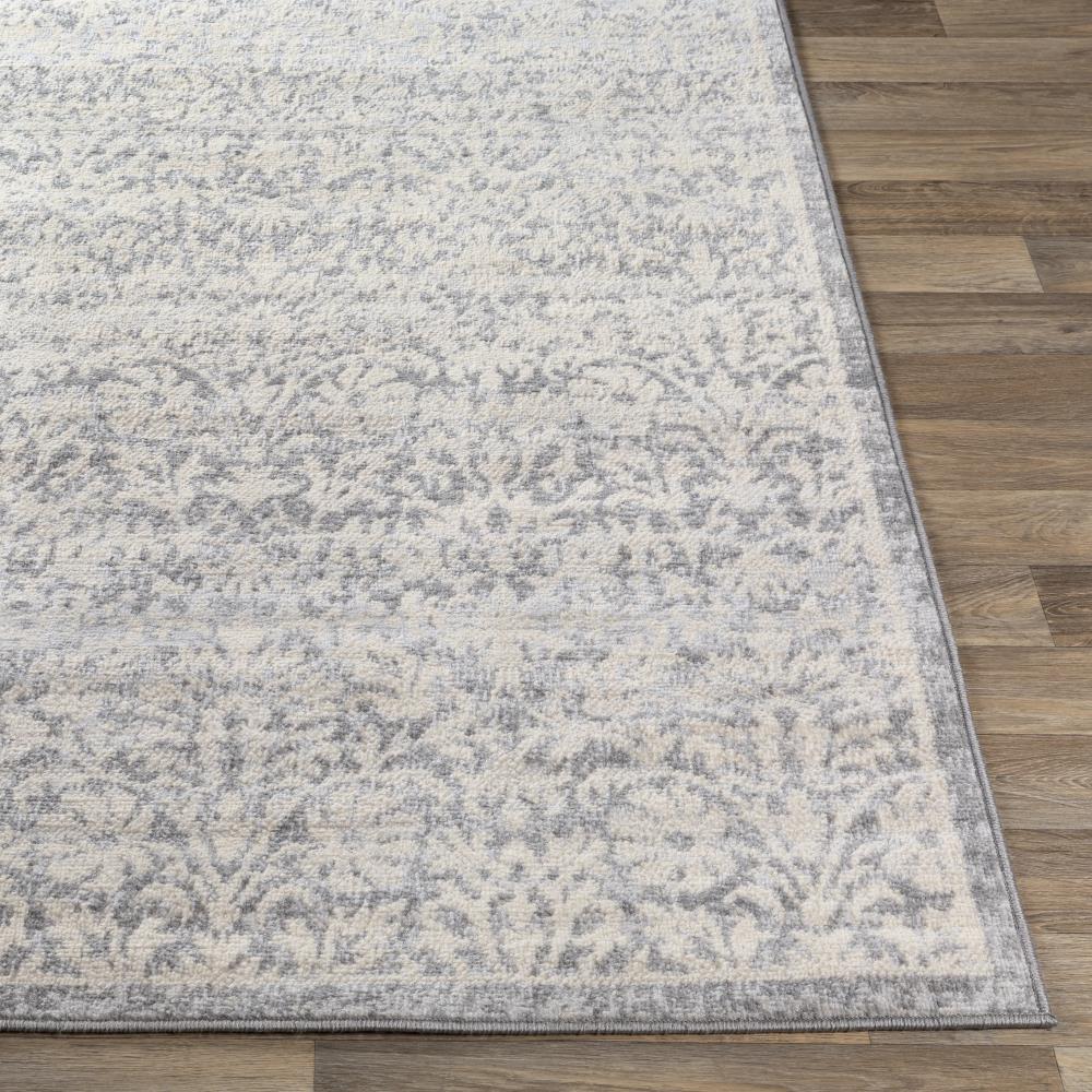 Surya CYL2326-5373 rugs - View #3