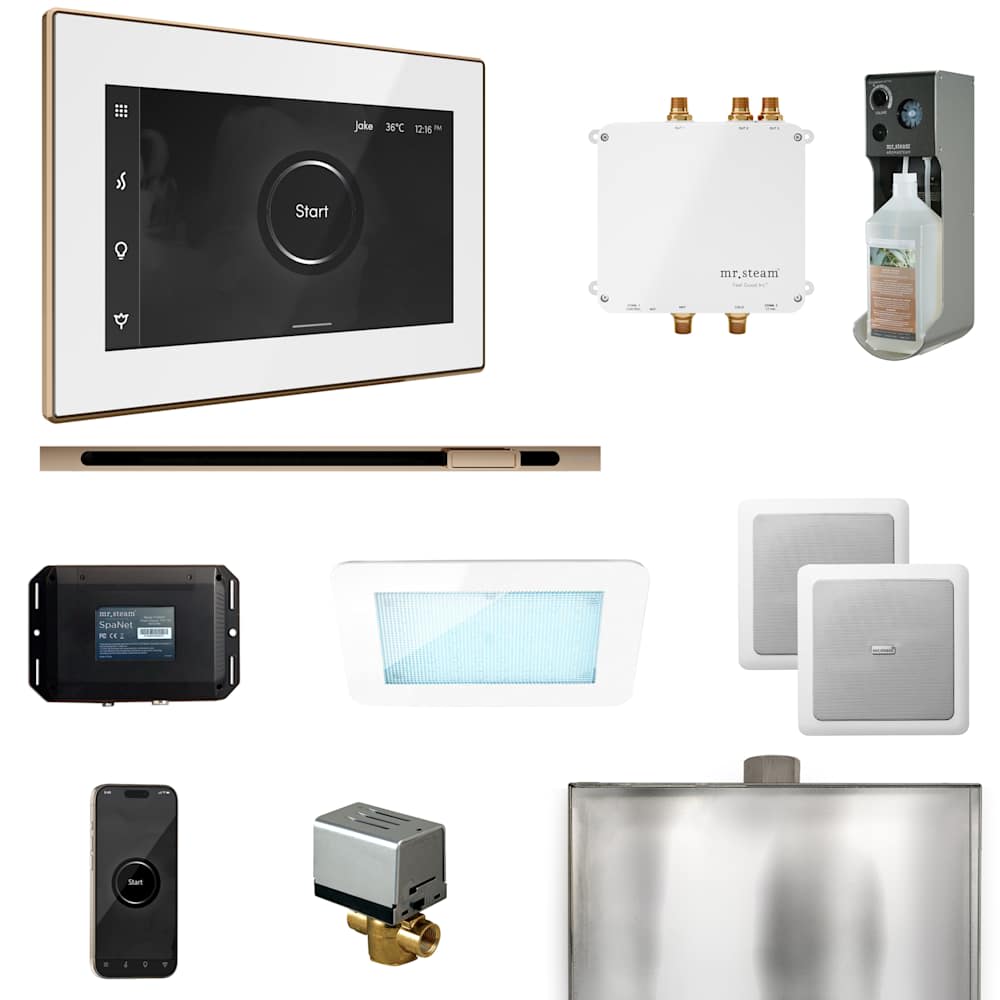  BLS1L Bliss Linear Package Steam Shower Control Package with Isteamx Control and Linear Steamhead