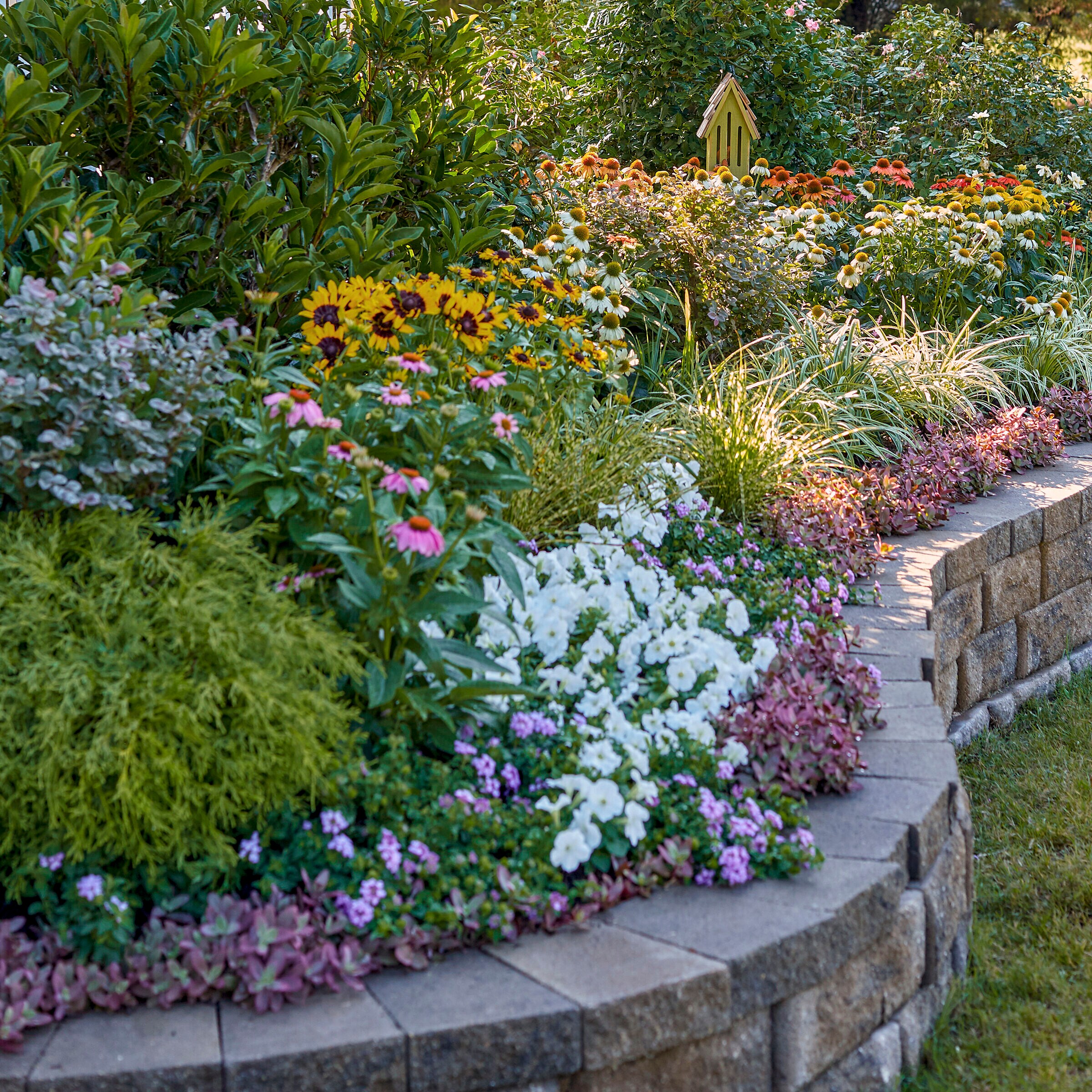 Lowe's 421930 annuals - View #9