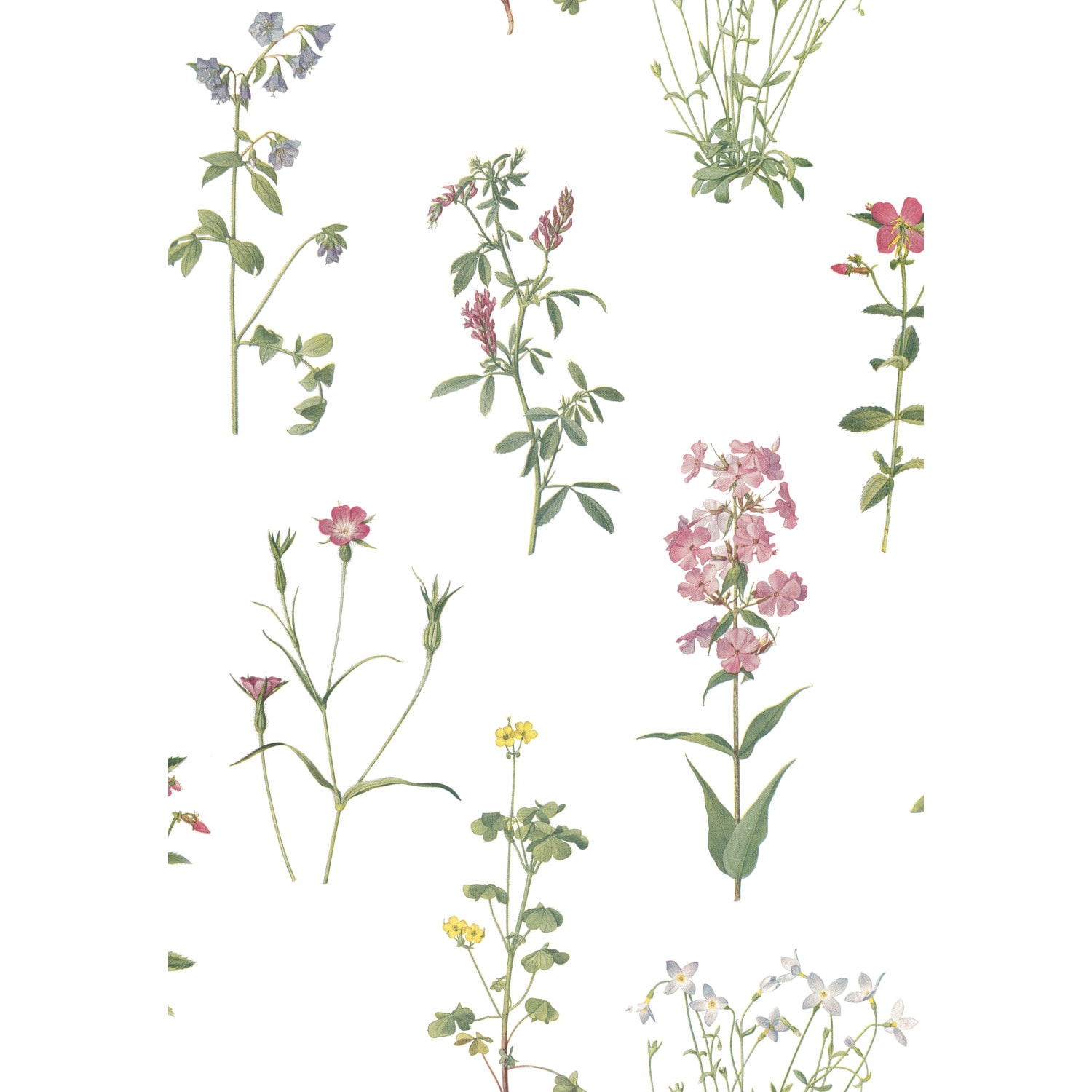 RoomMates RMK11644RL 28.29-Sq. Feet Green/White Vinyl Floral Self-adhesive Peel and Stick Wallpaper