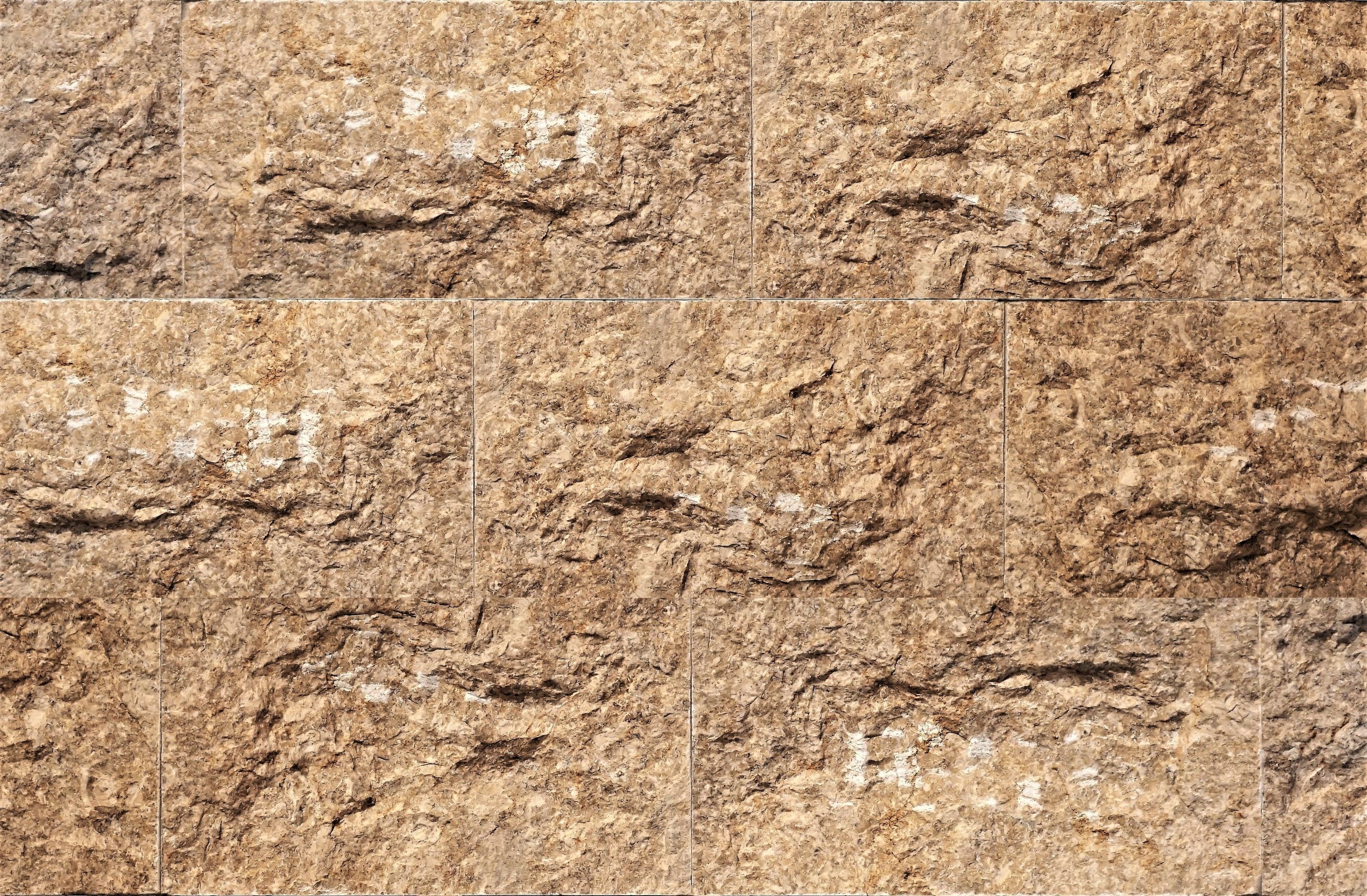 Natural Stone Veneer R09-SMP-SF-CCG 6-in x 6-in Split Face-Sample-Cape Cod Gray 0.2 Square feet Cape Cod Gray Stone veneer