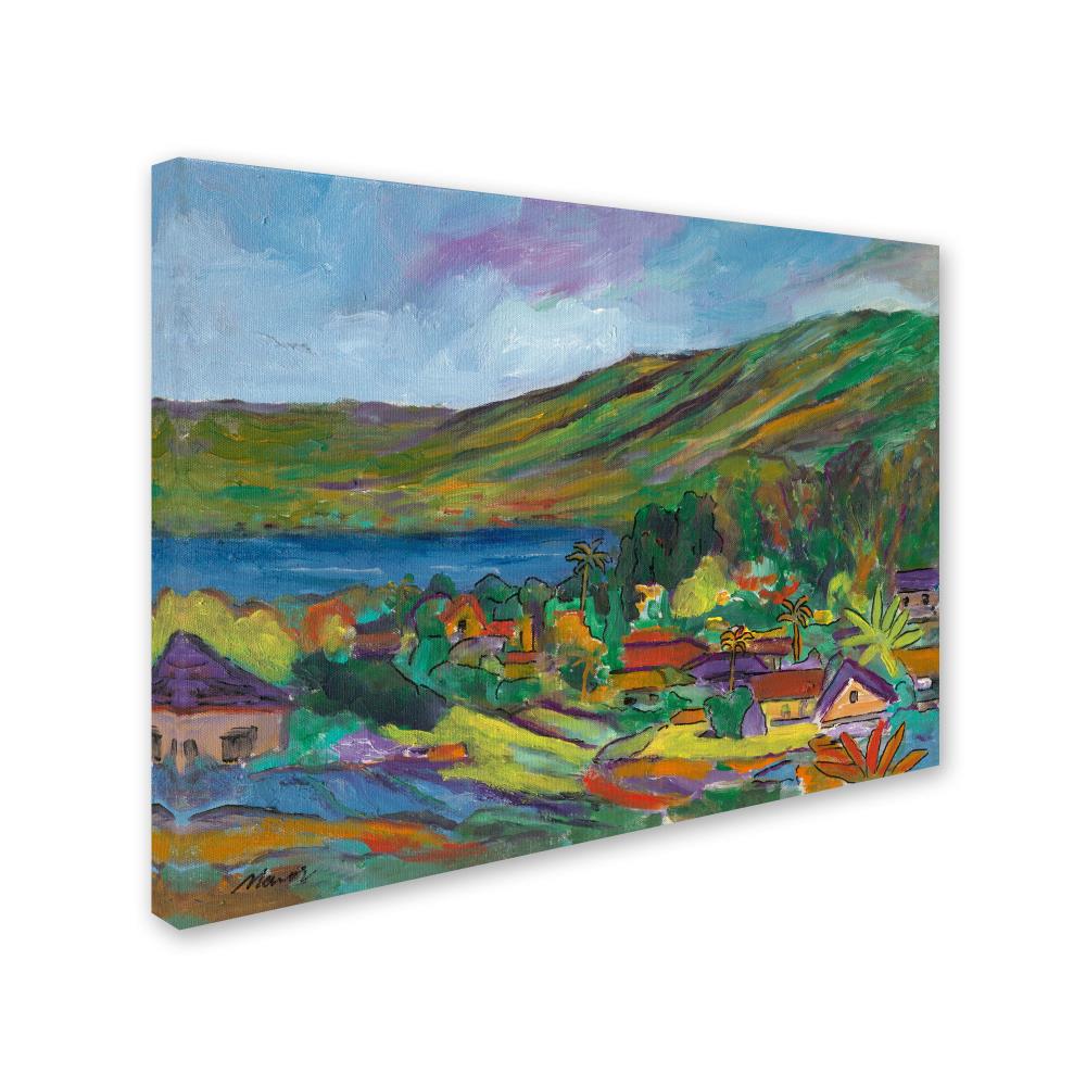 Trademark Fine Art MA0456-C1824GG Wall-Art - View #2