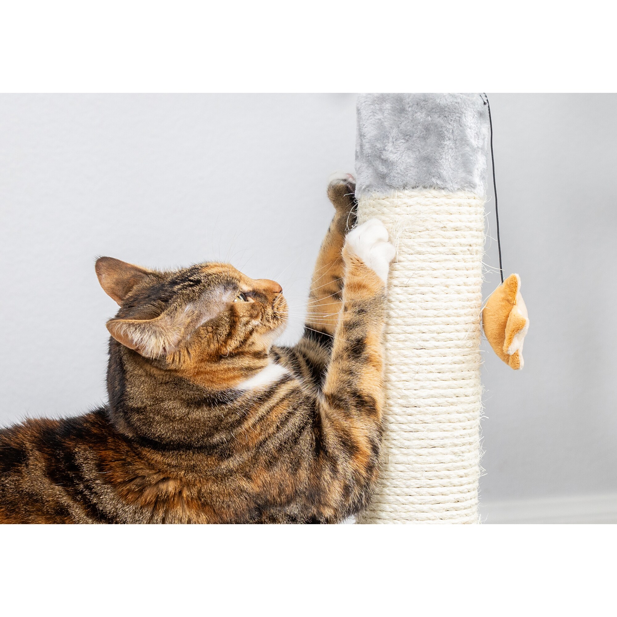 Gray Sisal and Faux Fur Mouse-Shaped Cat Scratcher with Toy