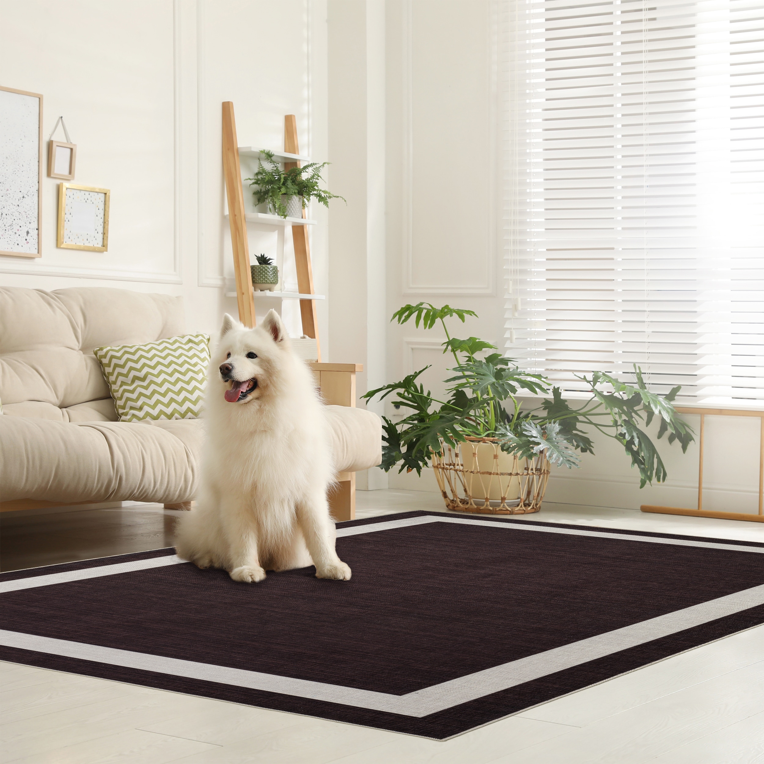 Playa Rug PLY-EVR-BRWN-5X8 rugs - View #5