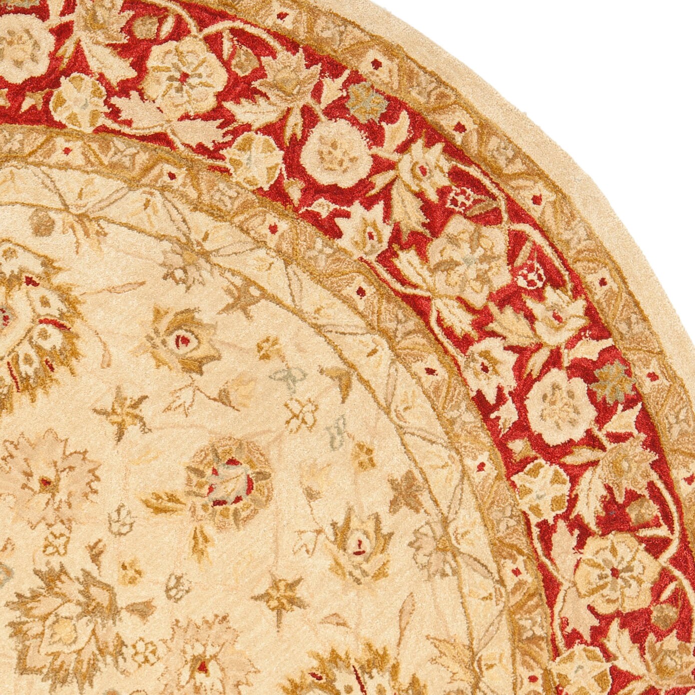 Safavieh AN522C-6R rugs - View #5