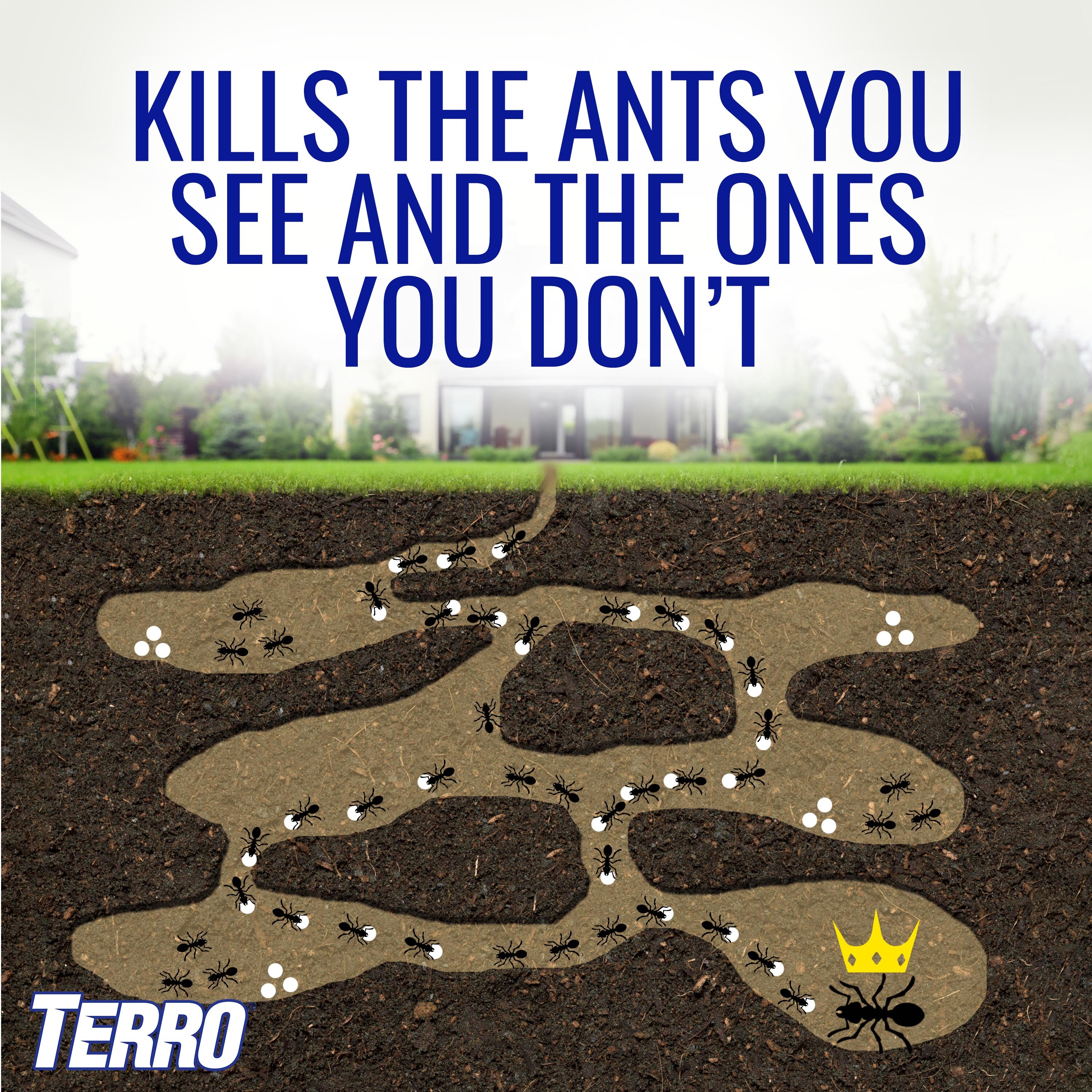 TERRO T200 pesticides - View #5
