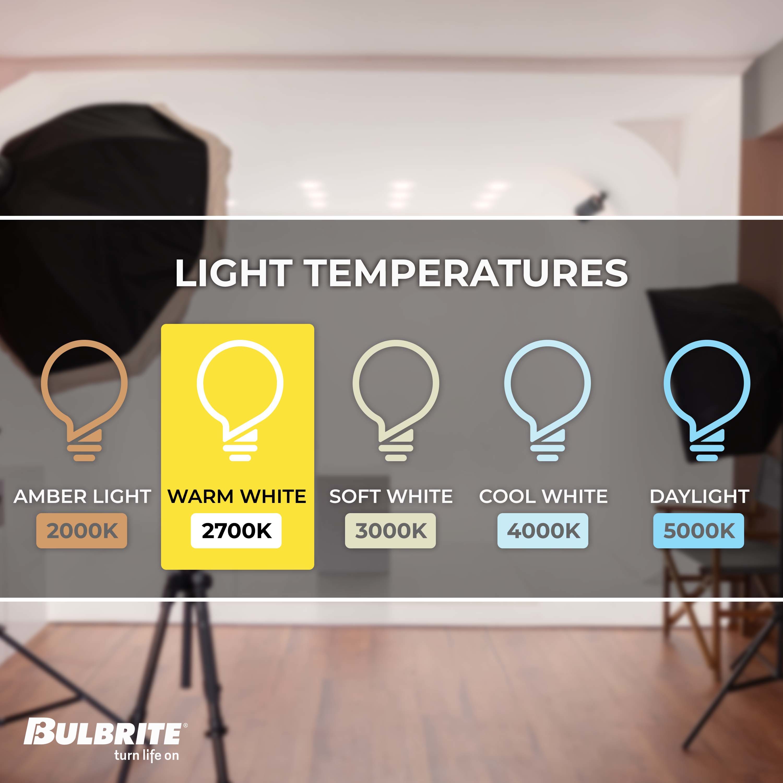 Bulbrite 861108 Dec-Led-Light-Bulbs - View #4