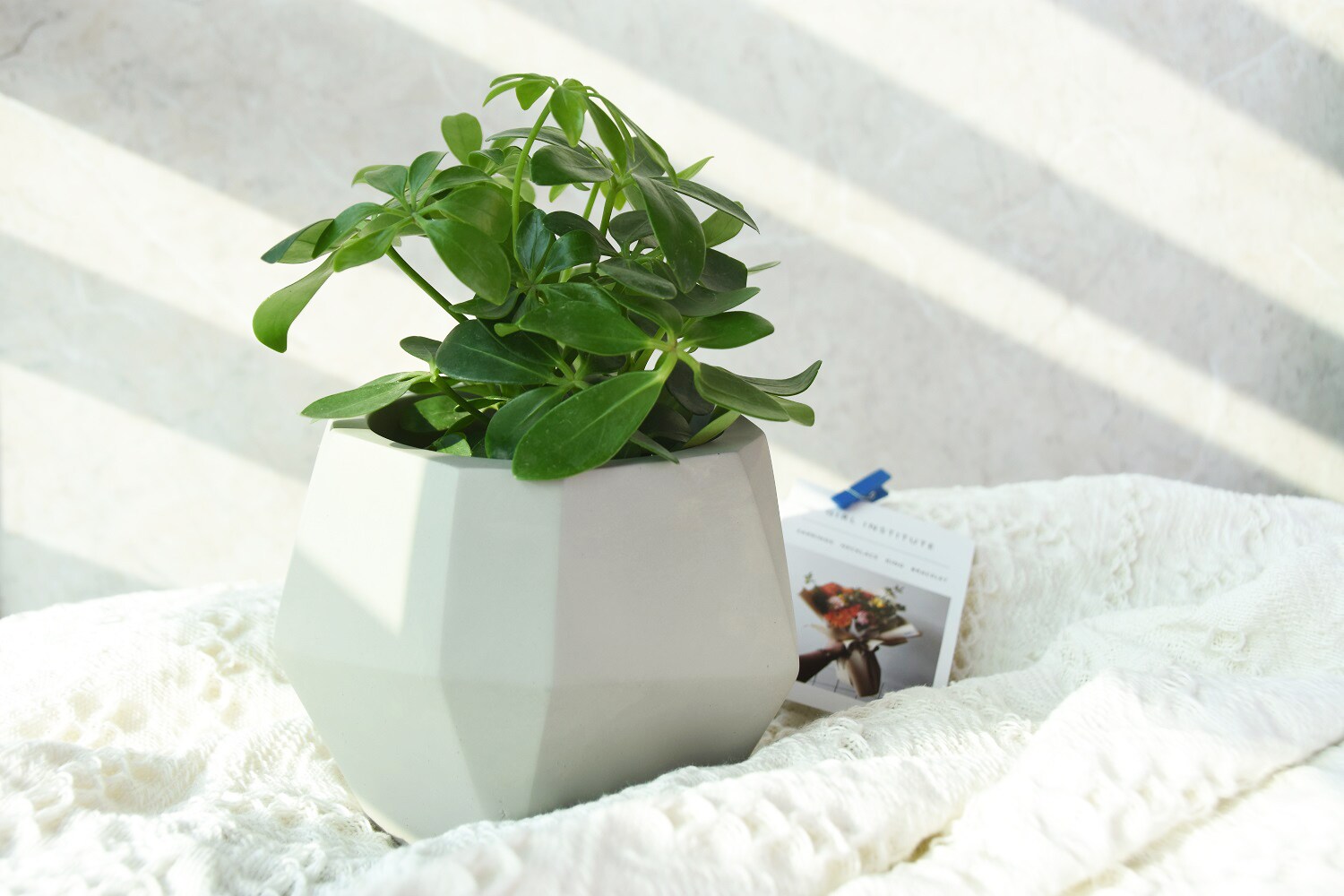 Modeno EN-MF1077LH Planter-Window-Box - View #5