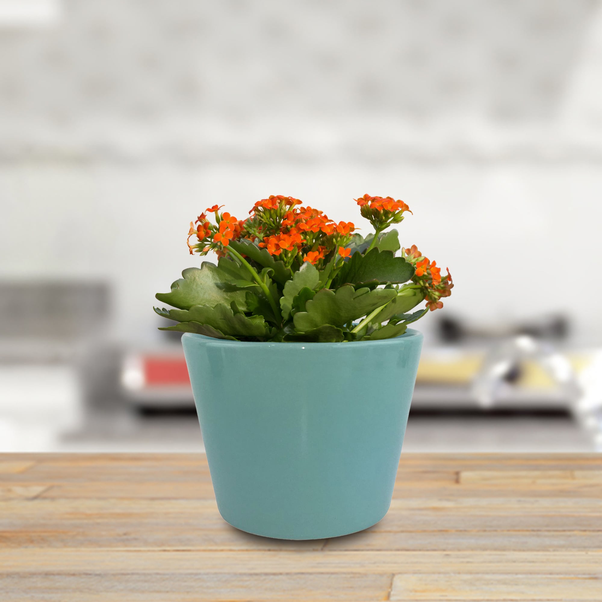 allen + roth CR01371N-05M3 Planter-Window-Box - View #7