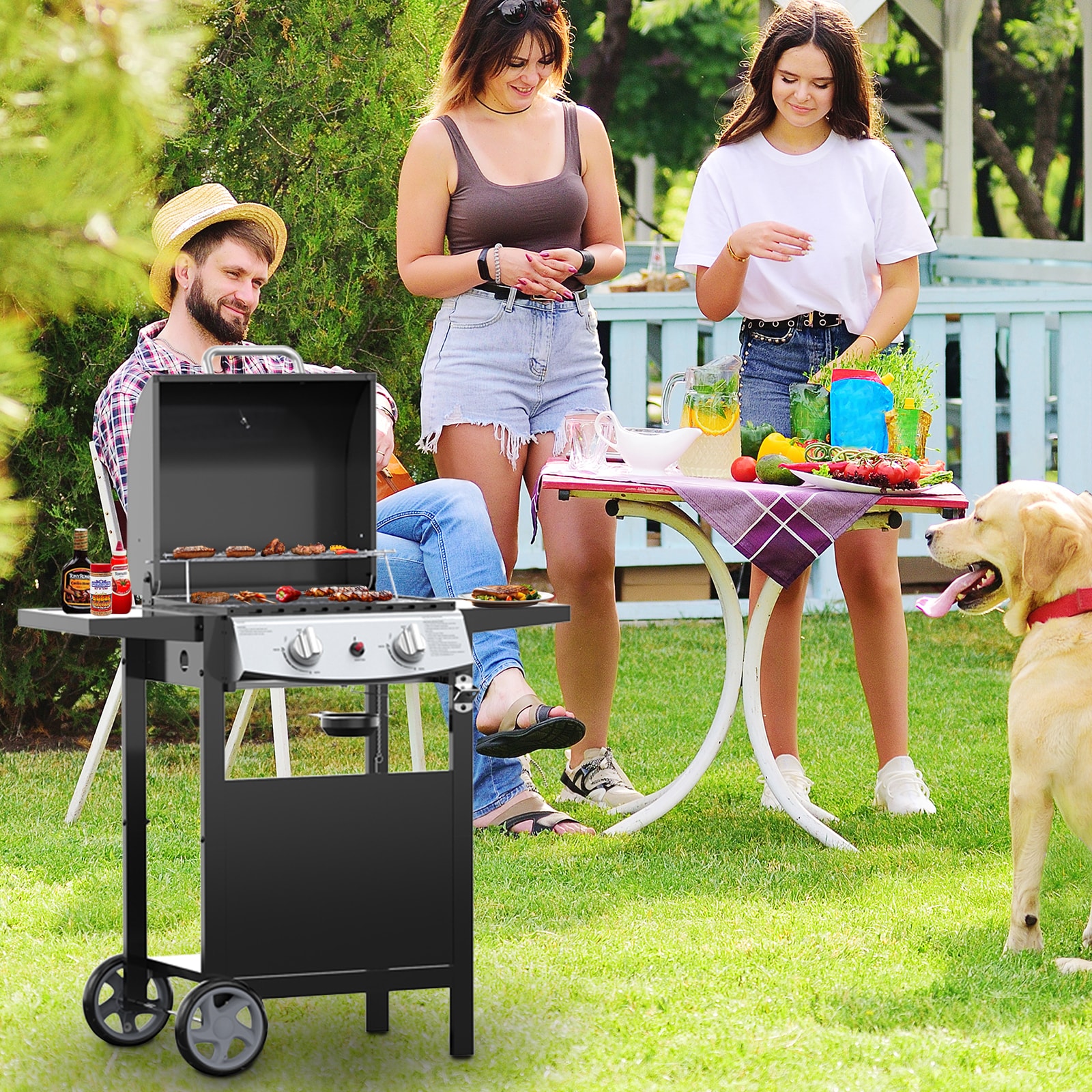 COWSAR LSG8421B Gas-Grill - View #6