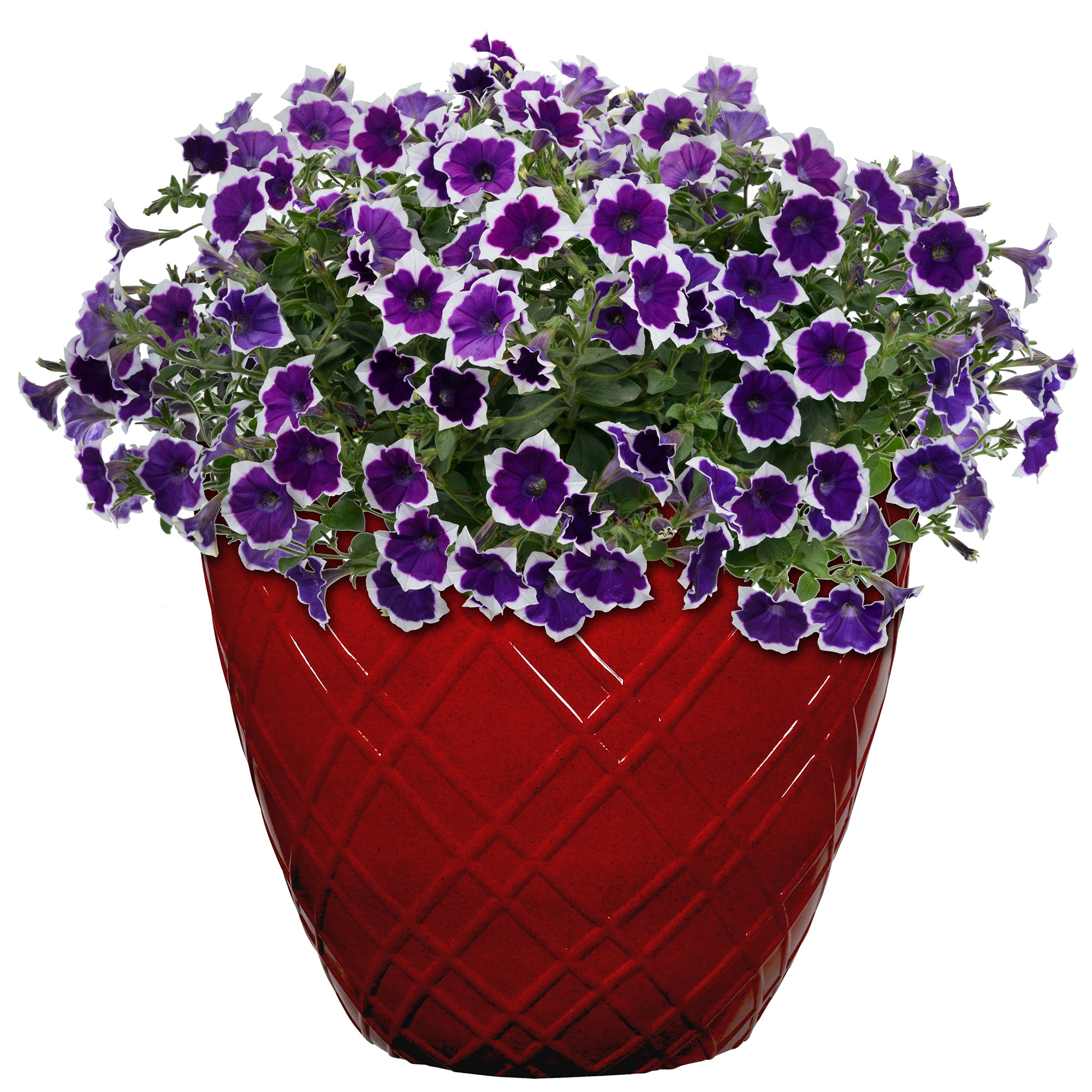 Style Selections PLC4516PRC Planter-Window-Box - View #3