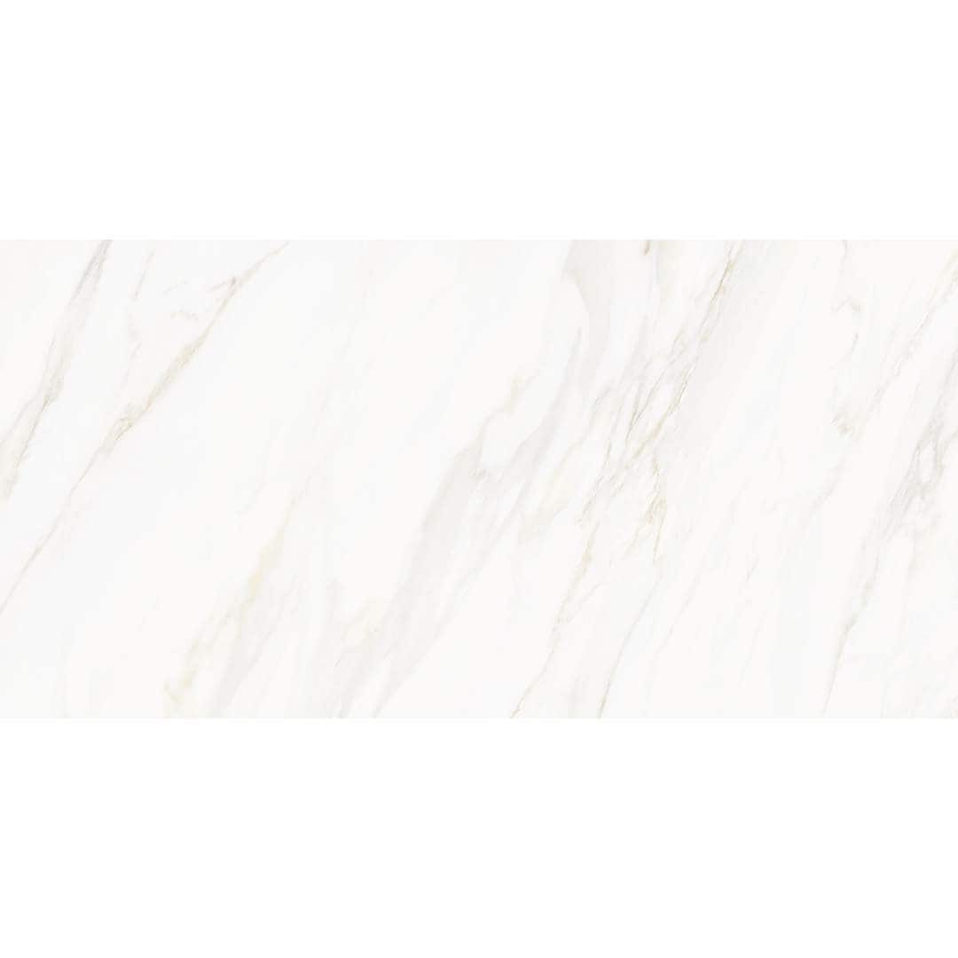 The Tile Life TVENU2448PO Ceramic-Tile - View #6