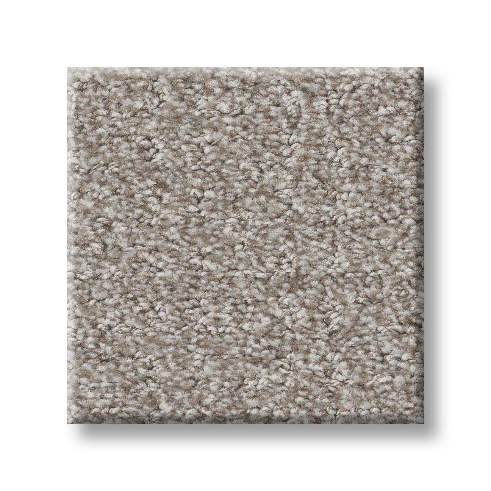 STAINMASTER PetProtect 7L93200114 Carpet-Panel - View #10