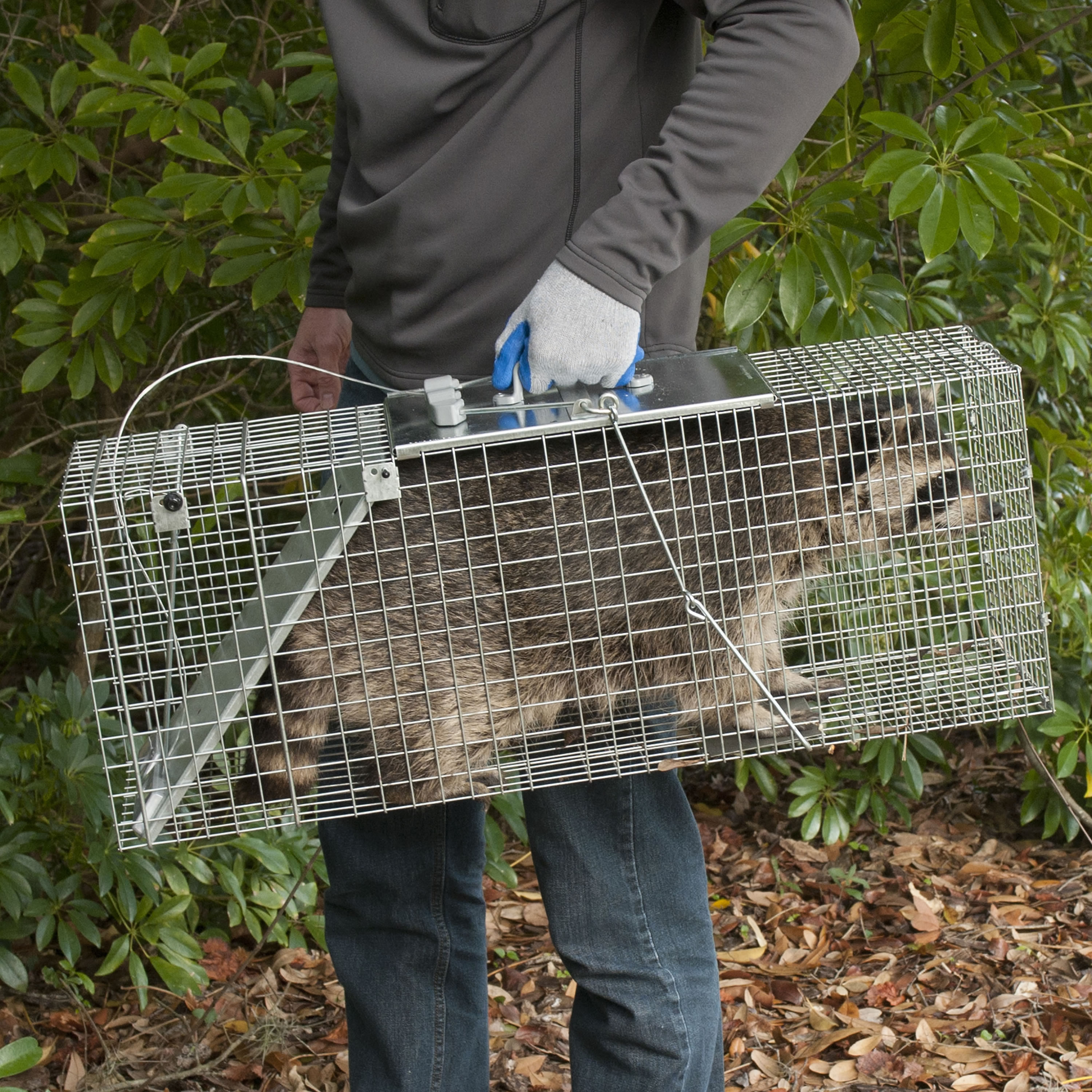 Havahart 1085 Animal-Rodent-Control - View #11