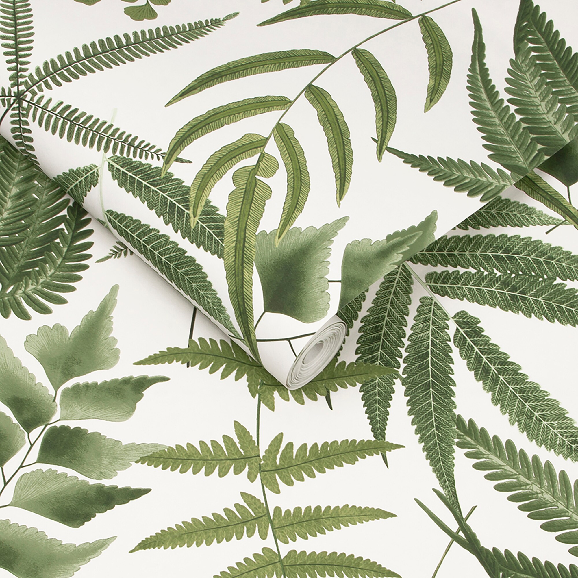 Graham & Brown 10788094 Wallpaper-Samples - View #3