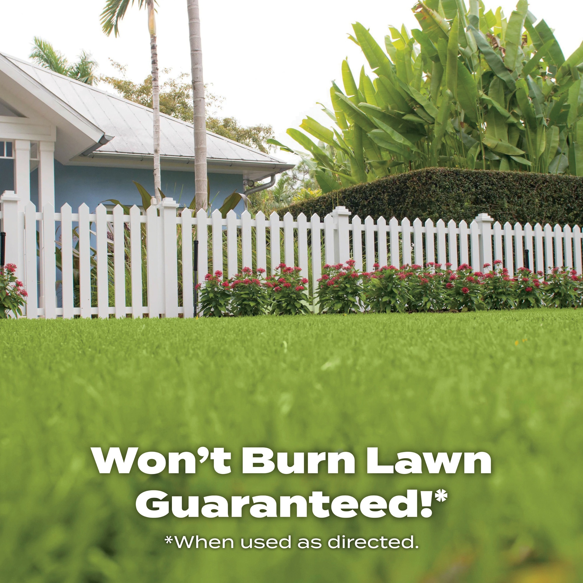 Scotts 20220A Lawn-Fertilizer - View #7