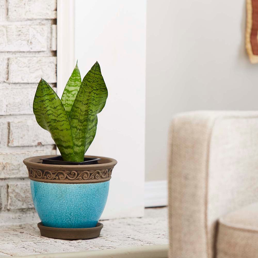 Southern Patio CRM-030720P2 Planter-Window-Box - View #8