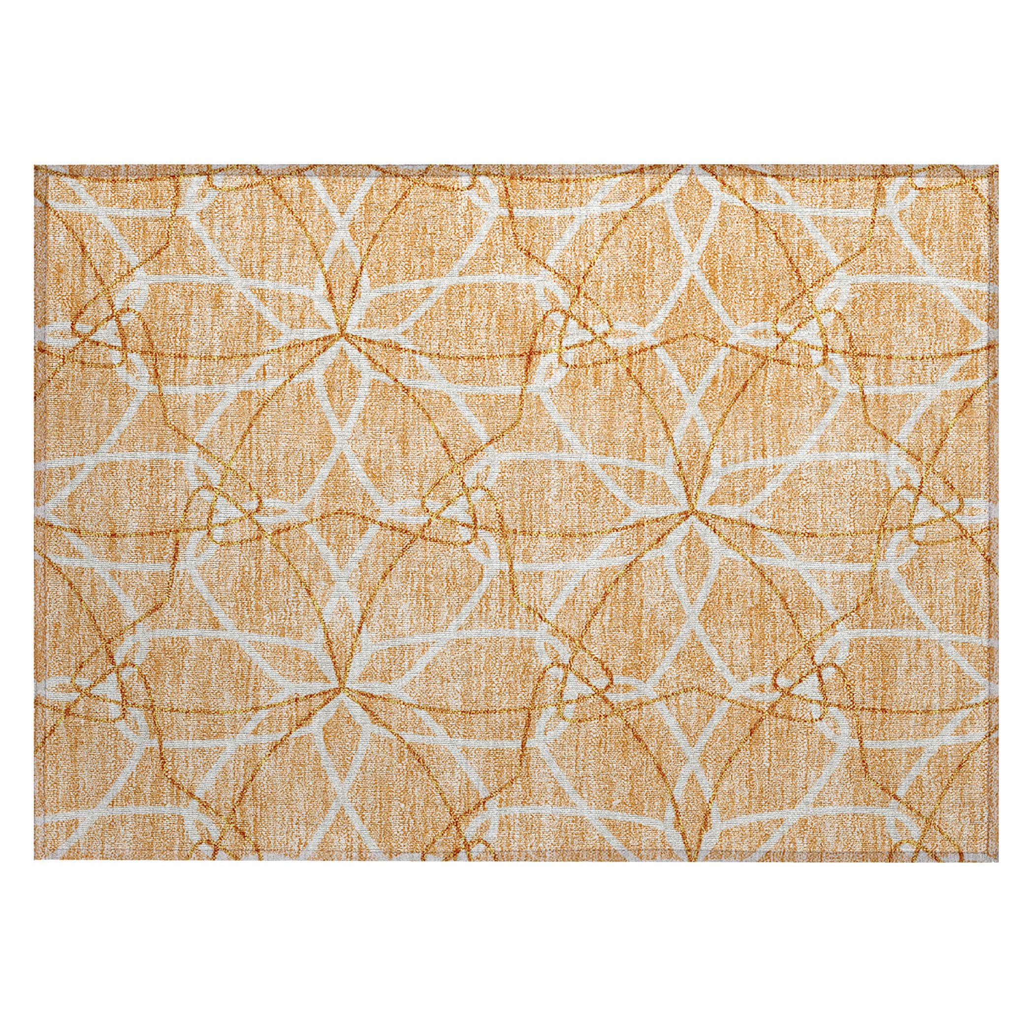 Addison Rugs ACN950PH20X30 rugs - View #2