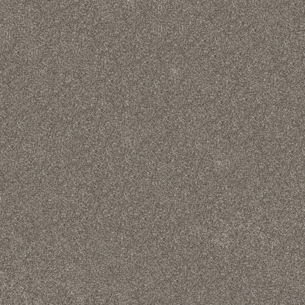 STAINMASTER 7L957-701-SAMP (Sample) 8-in x 8-in Animated III Coffee Brown 82.9-oz sq yard Solution-dyed polyester Textured Indoor Carpet
