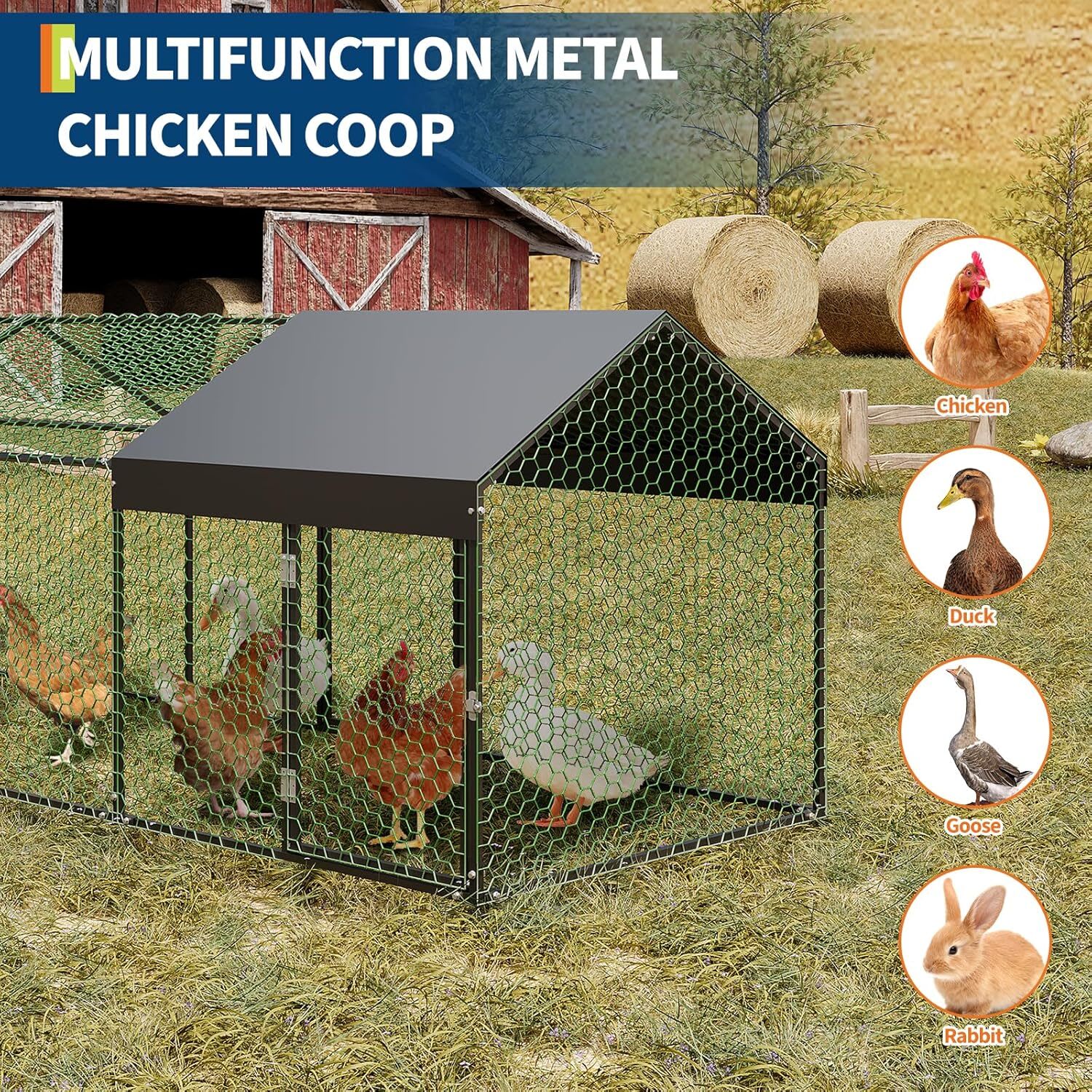Qeetex GGL-PPG-33EVARQG Chicken-Coops-Rabbit-Hutches - View #5