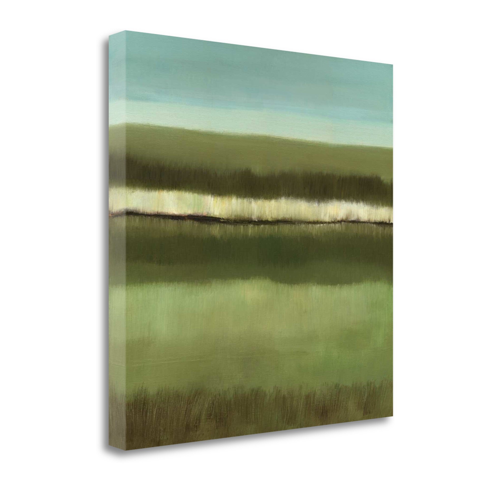 Tangletown Fine Art 30-in H x 30-in W Landscape Print on Canvas in the ...