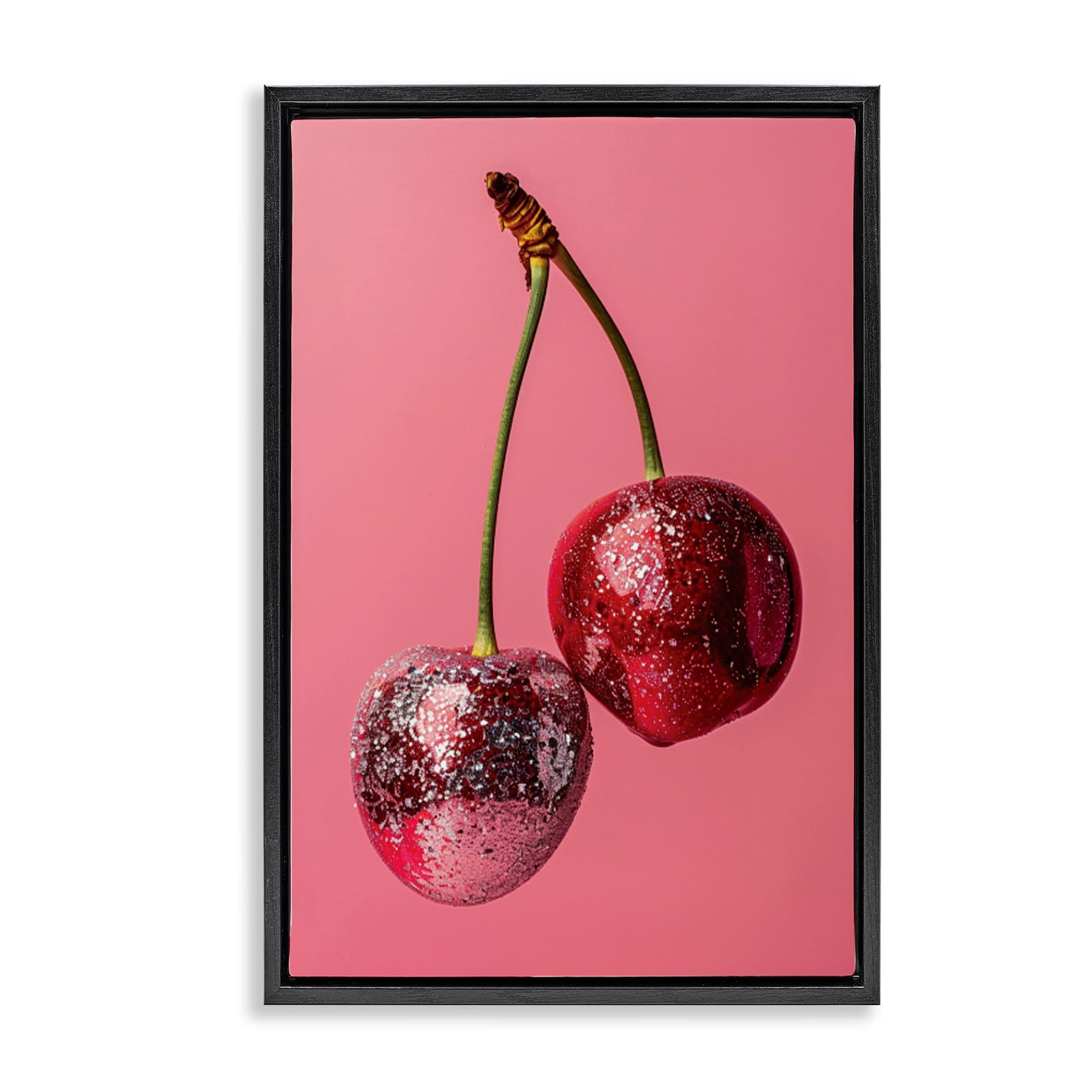 Stupell Industries BT-668-FFB-20X30 Dazzling Cherry Pair Black Framed Floater Canvas Wall Art By LSR Design Studio 21 x 31
