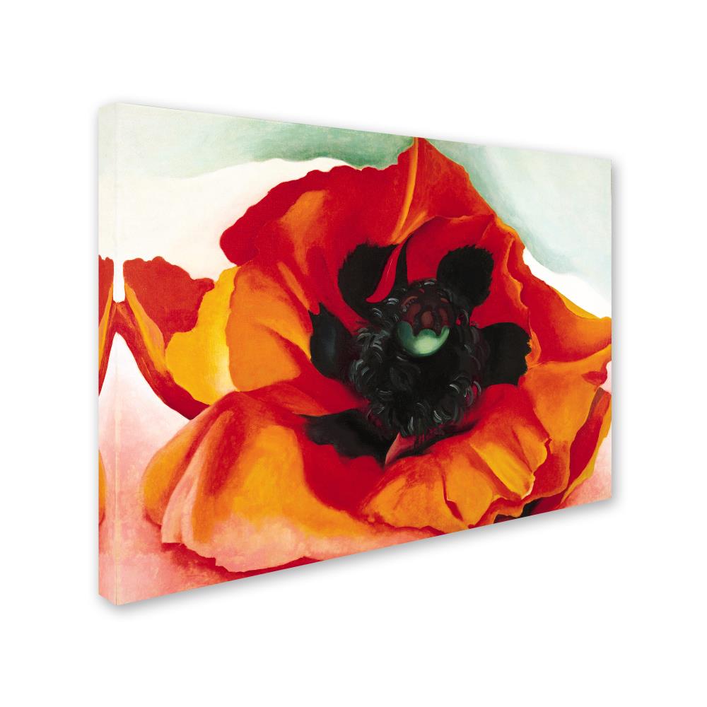 Trademark Fine Art ALI10055-C2432GG Georgia O'Keefe "Poppy" 24x32 Canvas Art Georgia O'keefe Multicolor 24-Inches H x 32-Inches W Floral Canvas Print