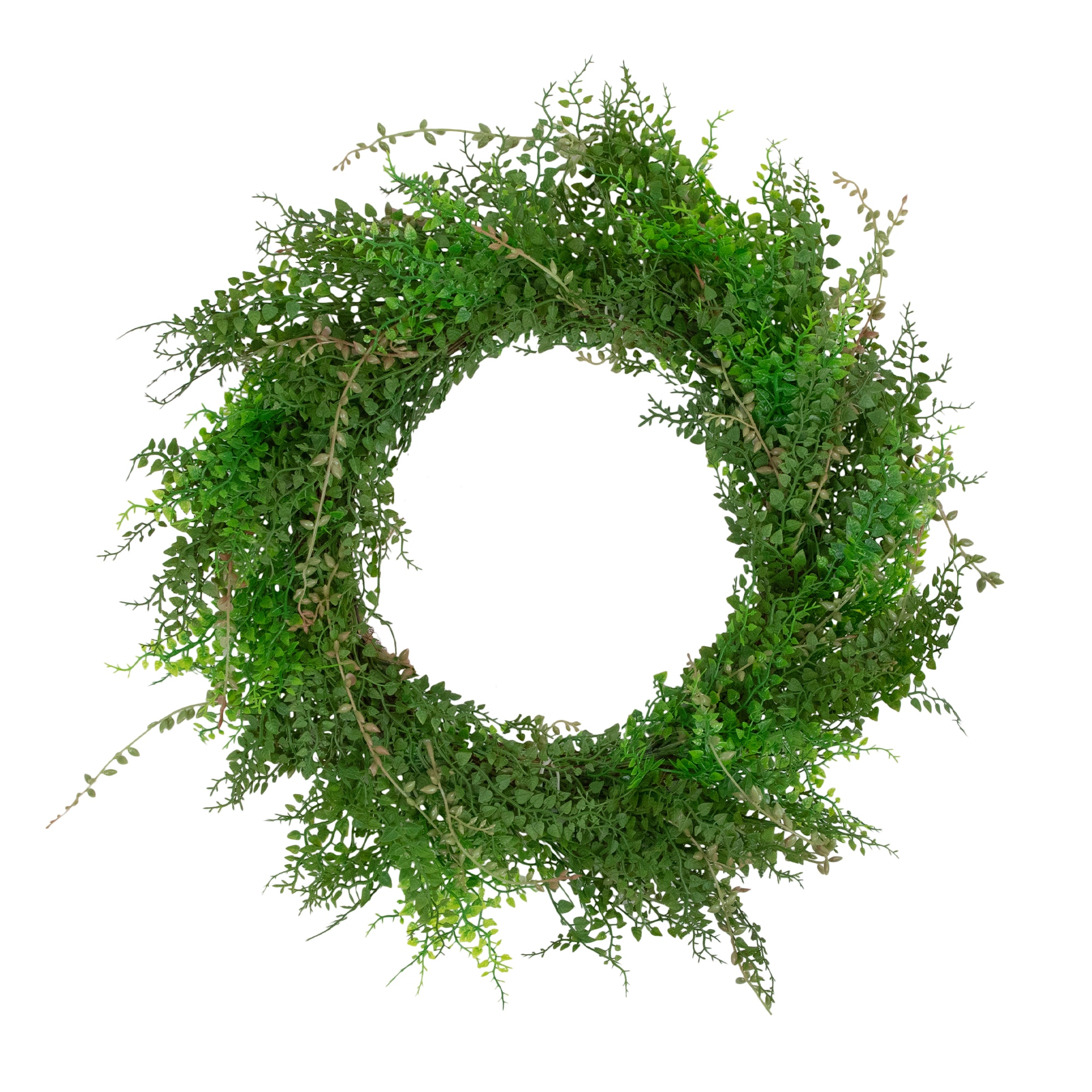 Northlight 35133816 24-in Green Indoor Hanging Boxwood Artificial wreath