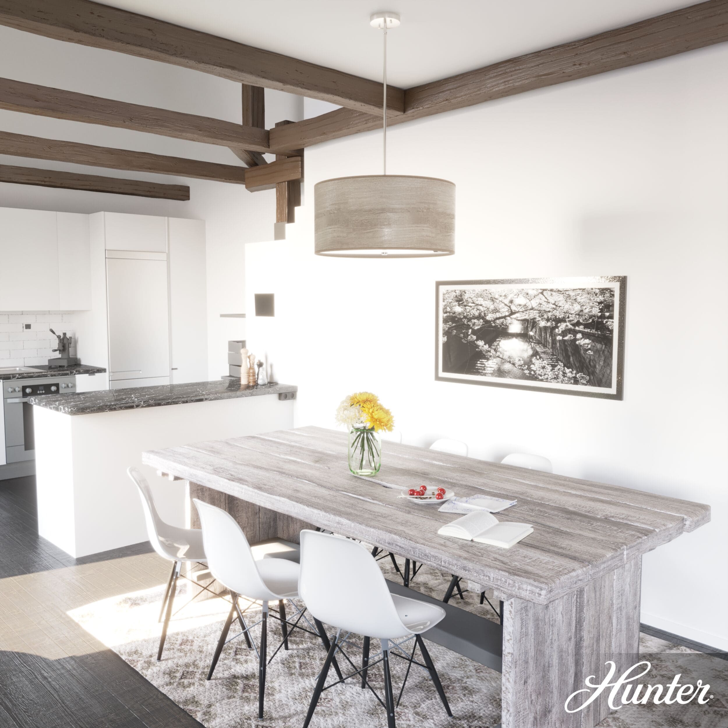 Hunter 19382 Pendant-Lights - View #2