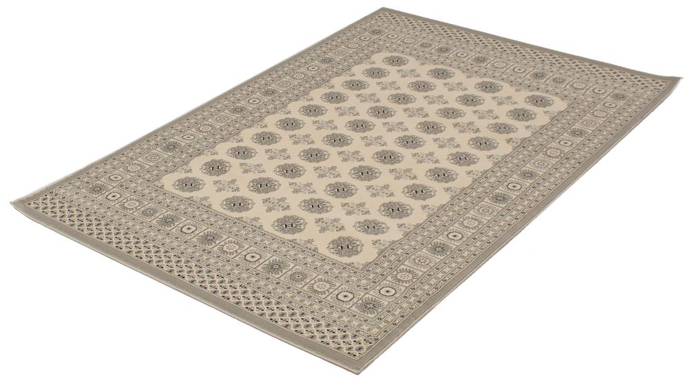 ECARPETGALLERY 303882 rugs - View #4