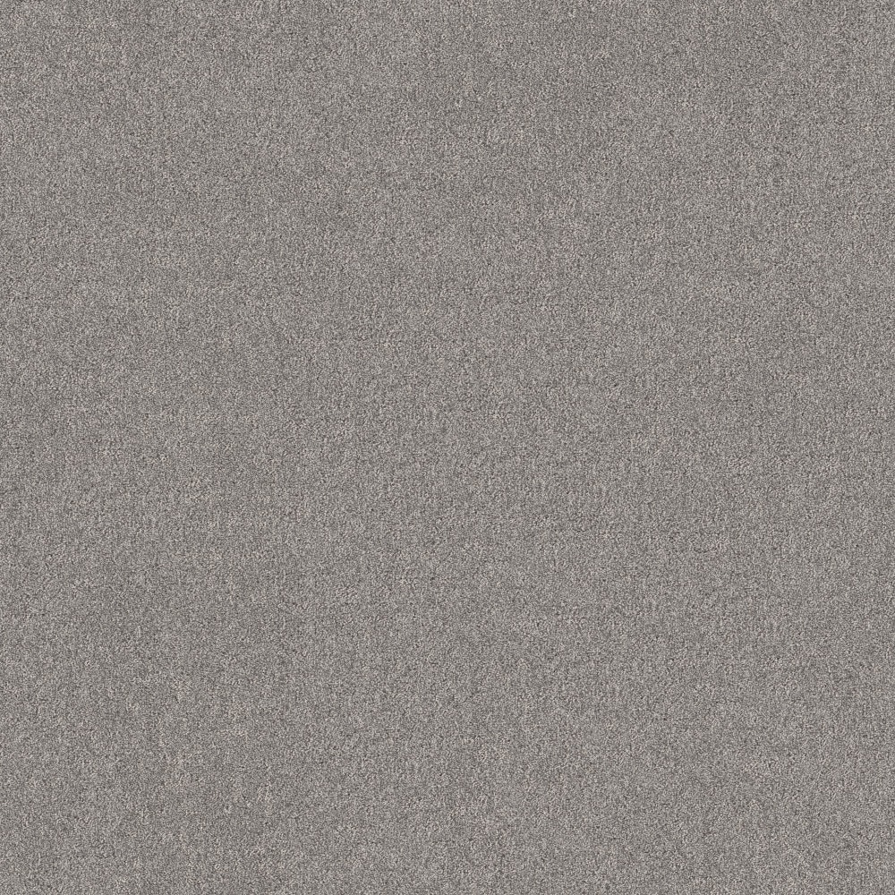 STAINMASTER PetProtect 7L945-522-SAMP (Sample) 8-in x 8-in with LeakDefense Pampured Paws Graphic Gray 48.8-oz sq yard High-performance polyester Pattern Indoor Carpet