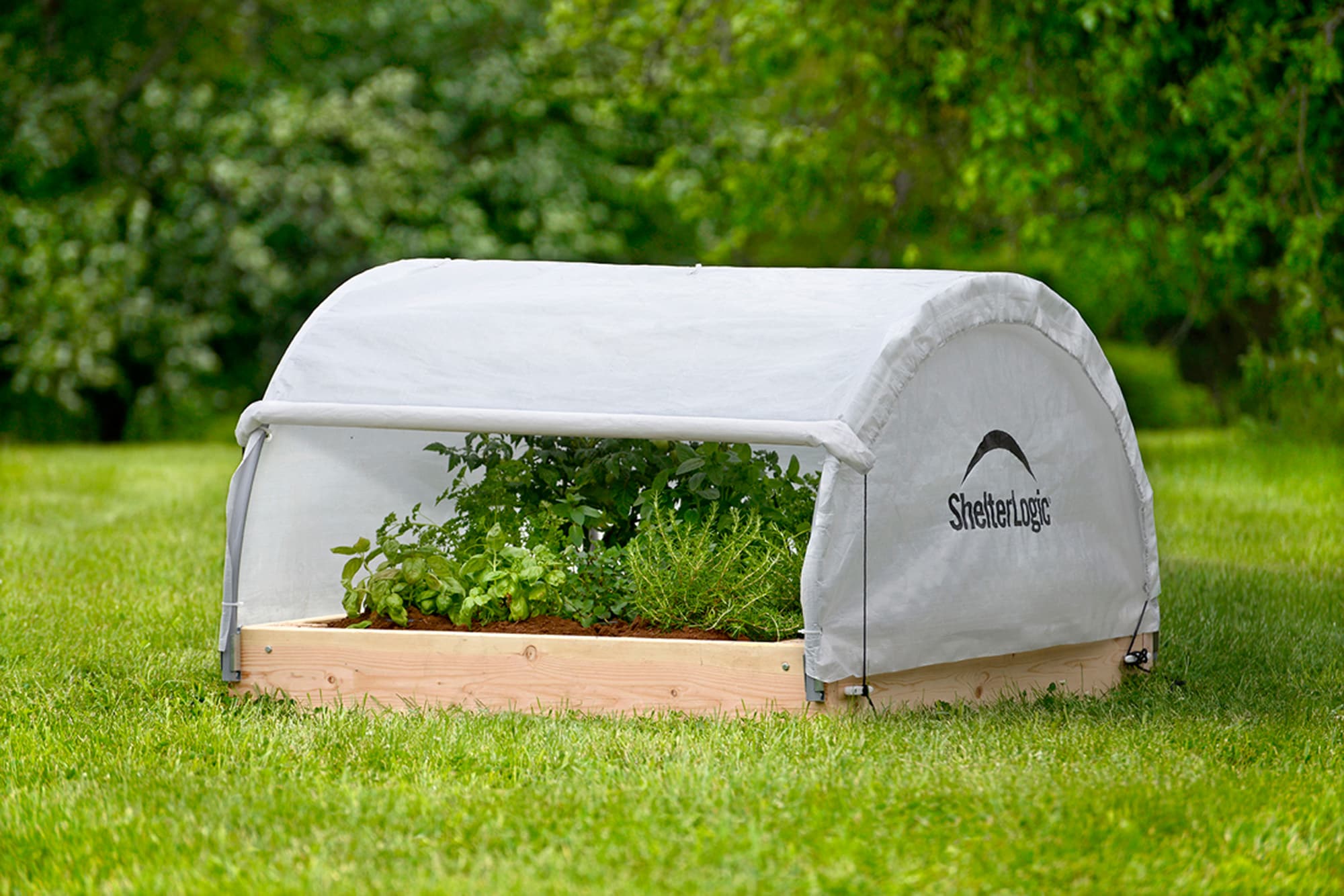 ShelterLogic 70617 greenhouses - View #5