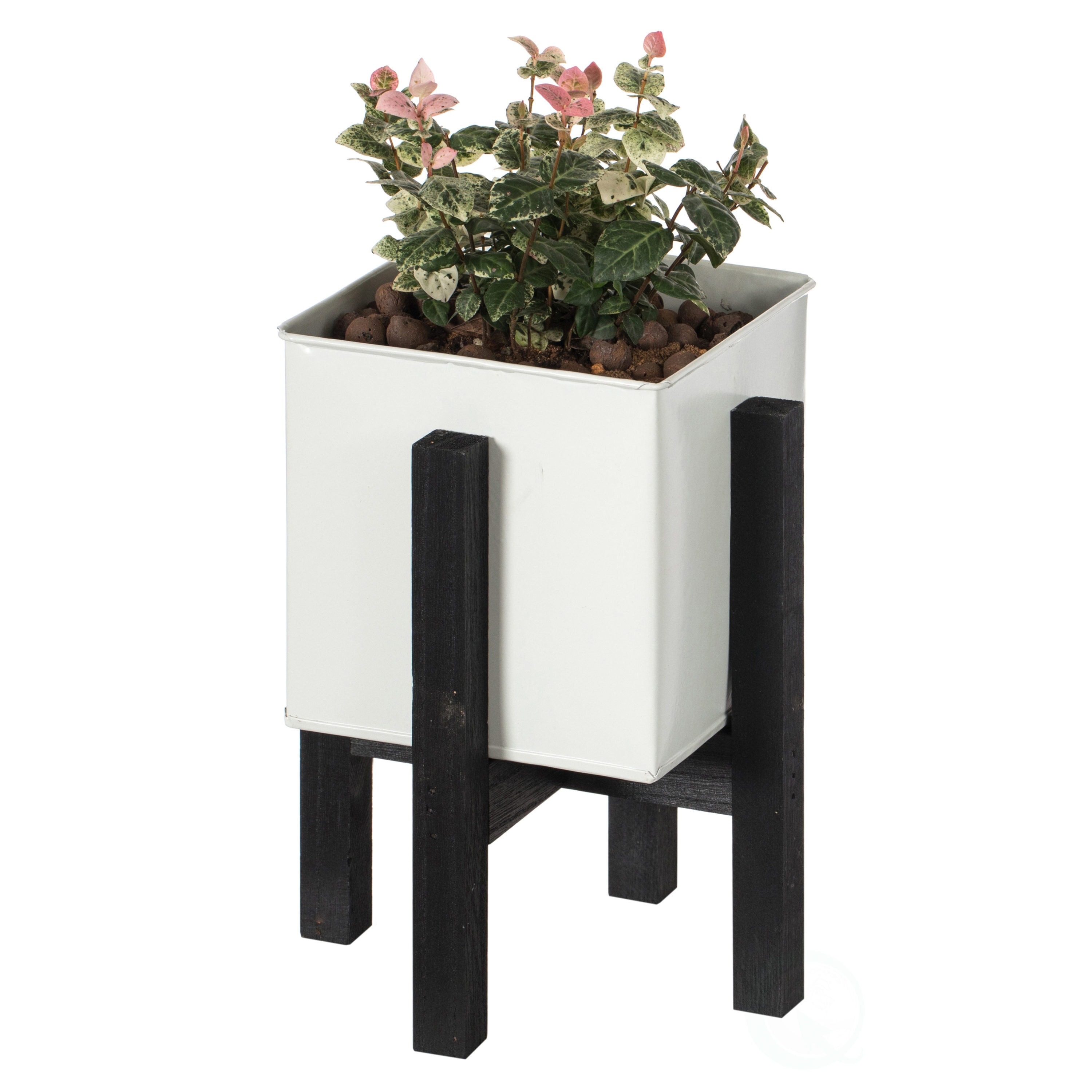 Vintiquewise QI004170.S Square 6.0-in W Small White Wood Indoor/Outdoor Planter
