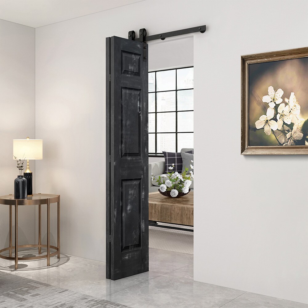 CALHOME 1100-2-S+6P-36-EBSRA Barn-Doors - View #2