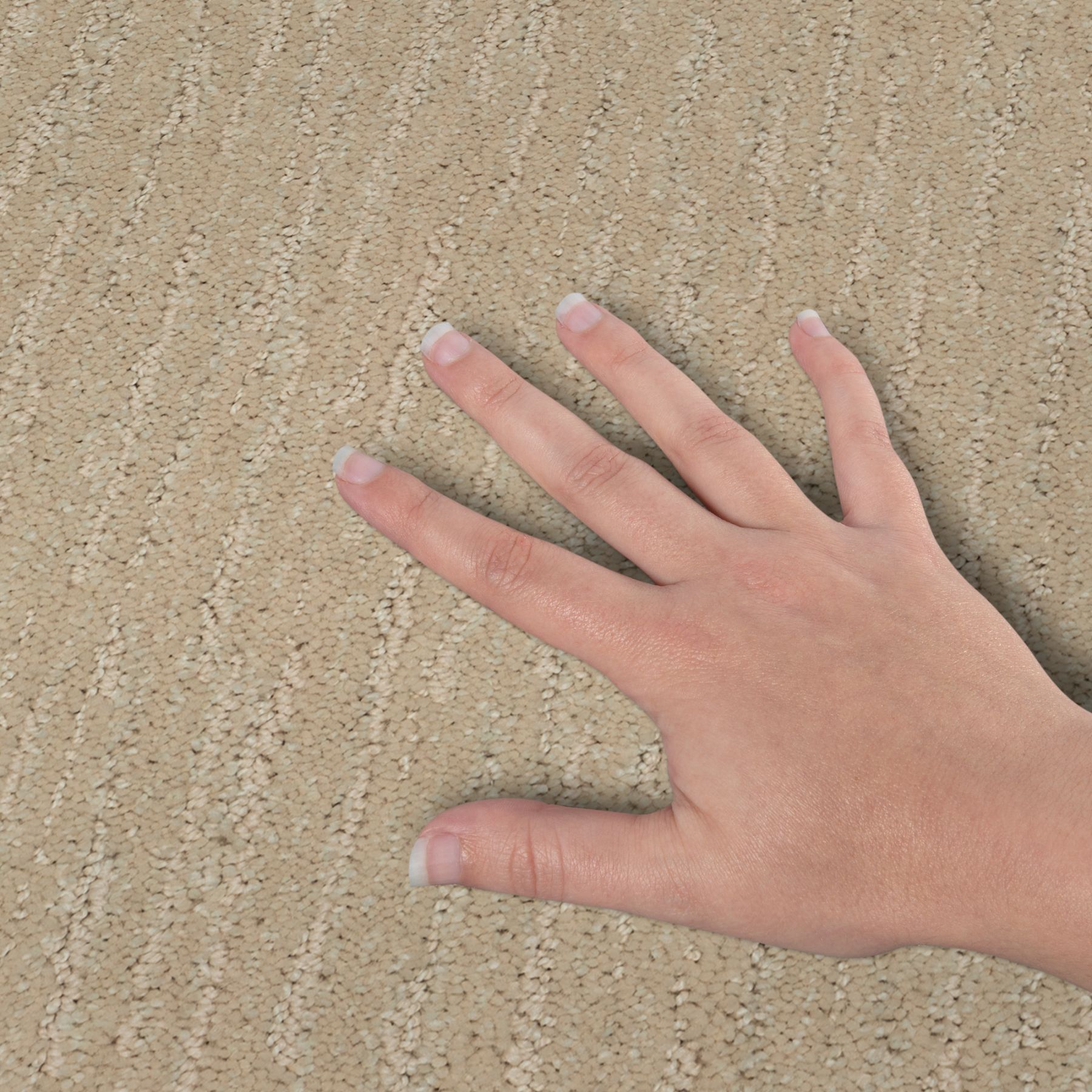 STAINMASTER PetProtect SS056-L001-S0808 Carpet-Samples - View #4