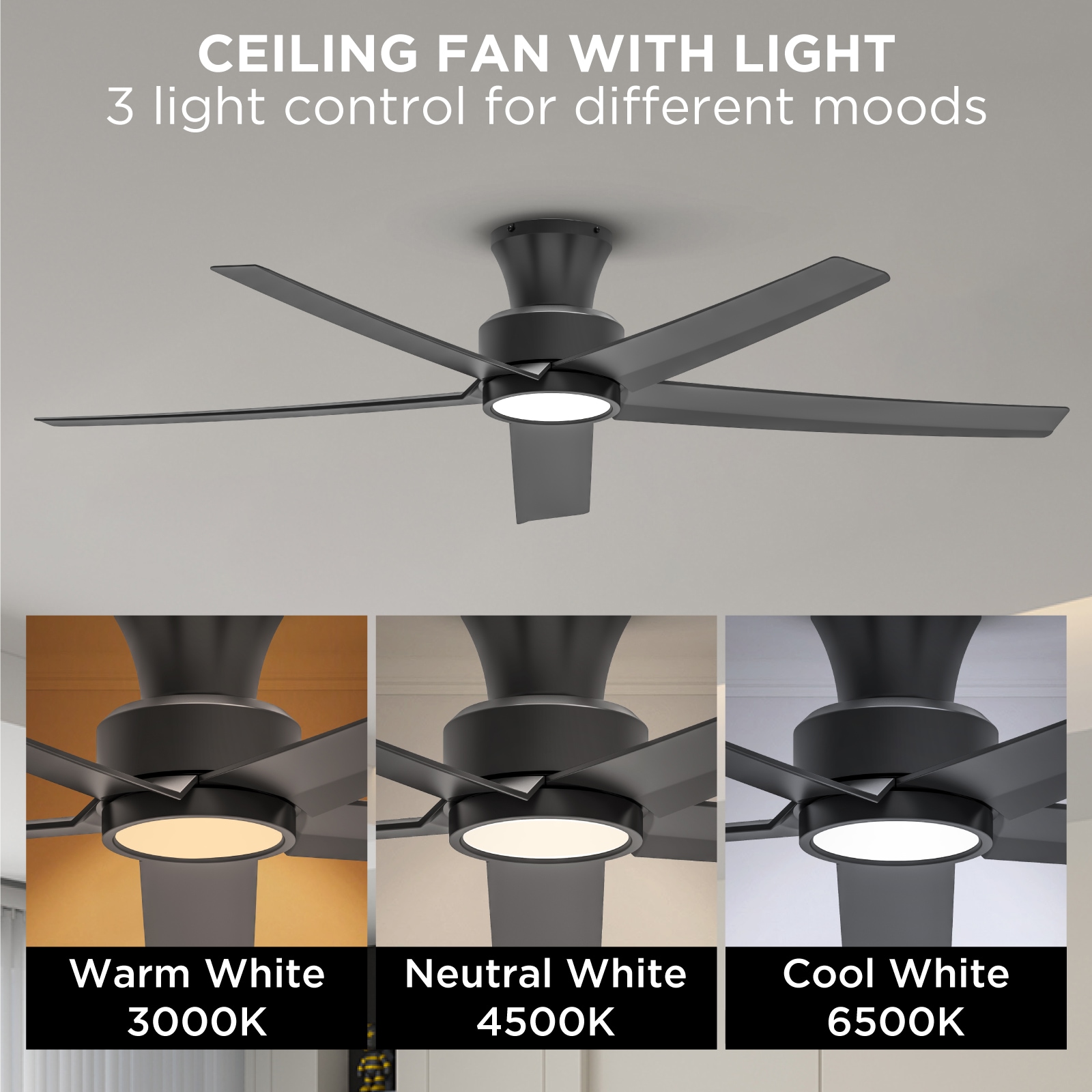 TALOYA TLY-WF-BK-X52 Ceiling-Fans - View #2