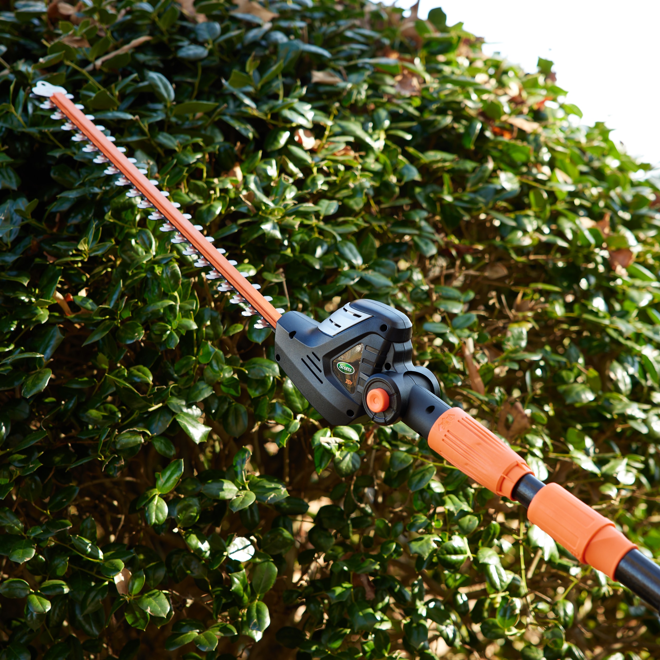 60V 10 Pole Saw & 20 Pole Hedge Trimmer Combo Kit