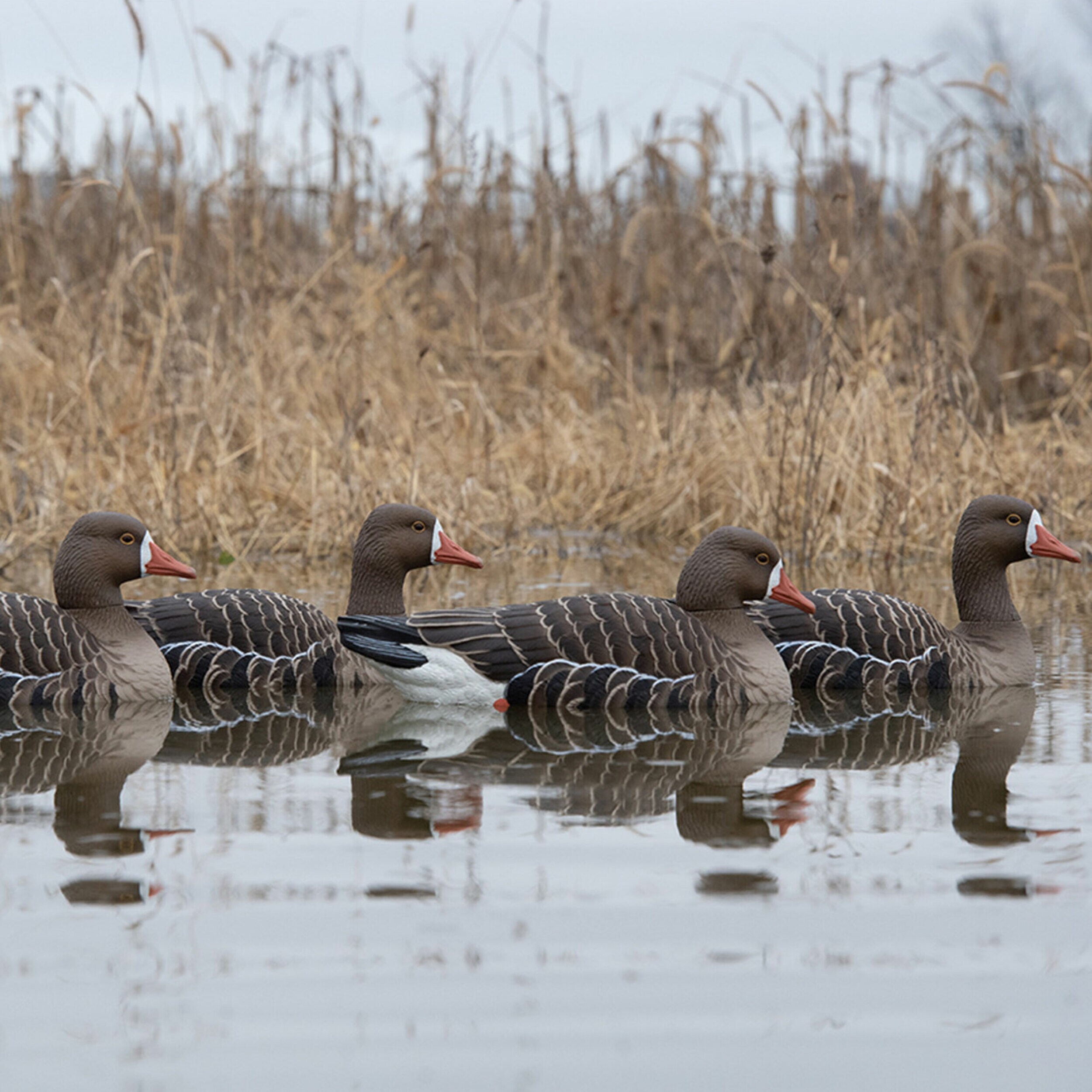  Avian X 399286 Hunting-Equipment - View #8