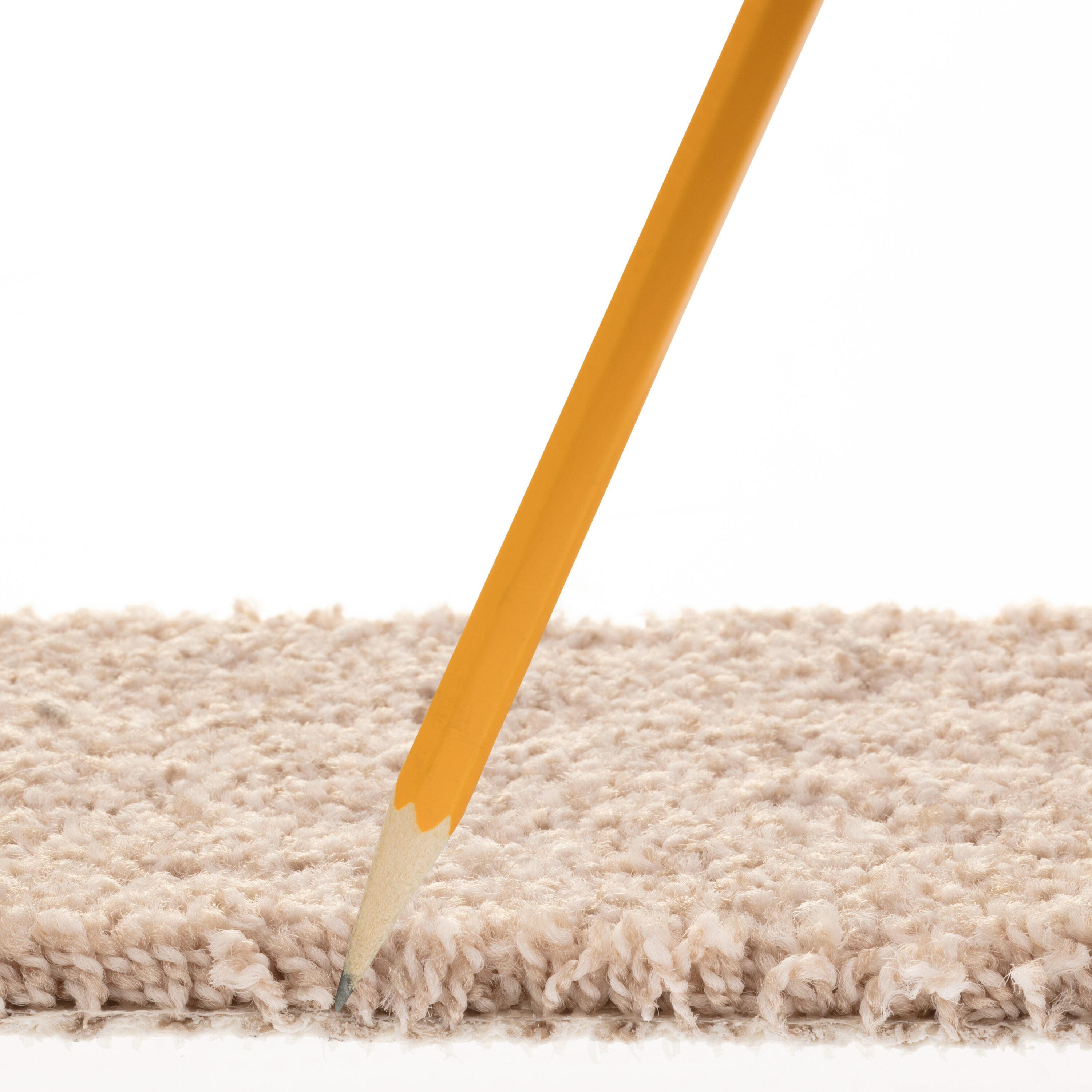 STAINMASTER PetProtect 7L906 - 803 - SAMP Carpet-Samples - View #7