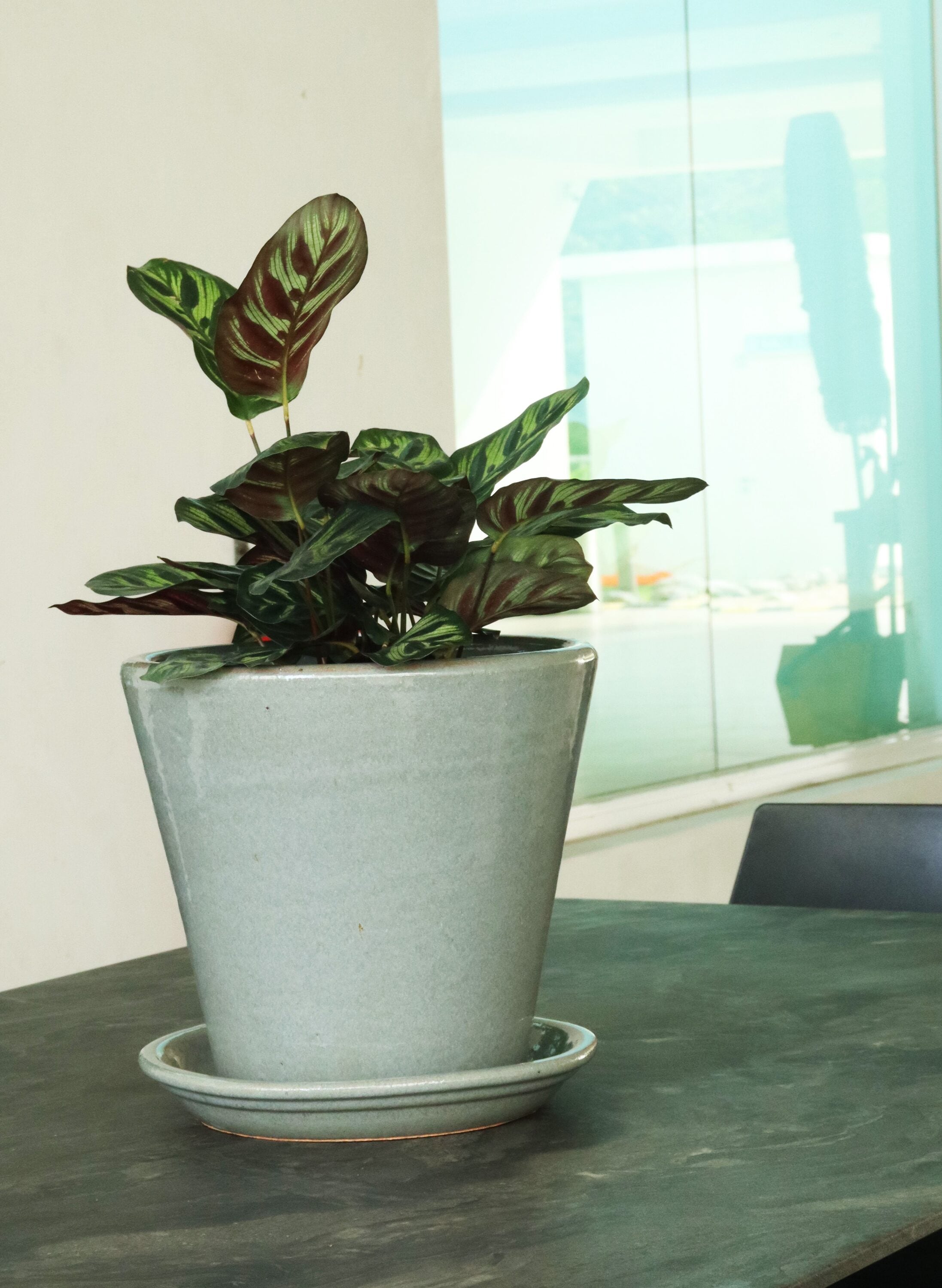 allen + roth GO2025-136 Plant-Saucers - View #3